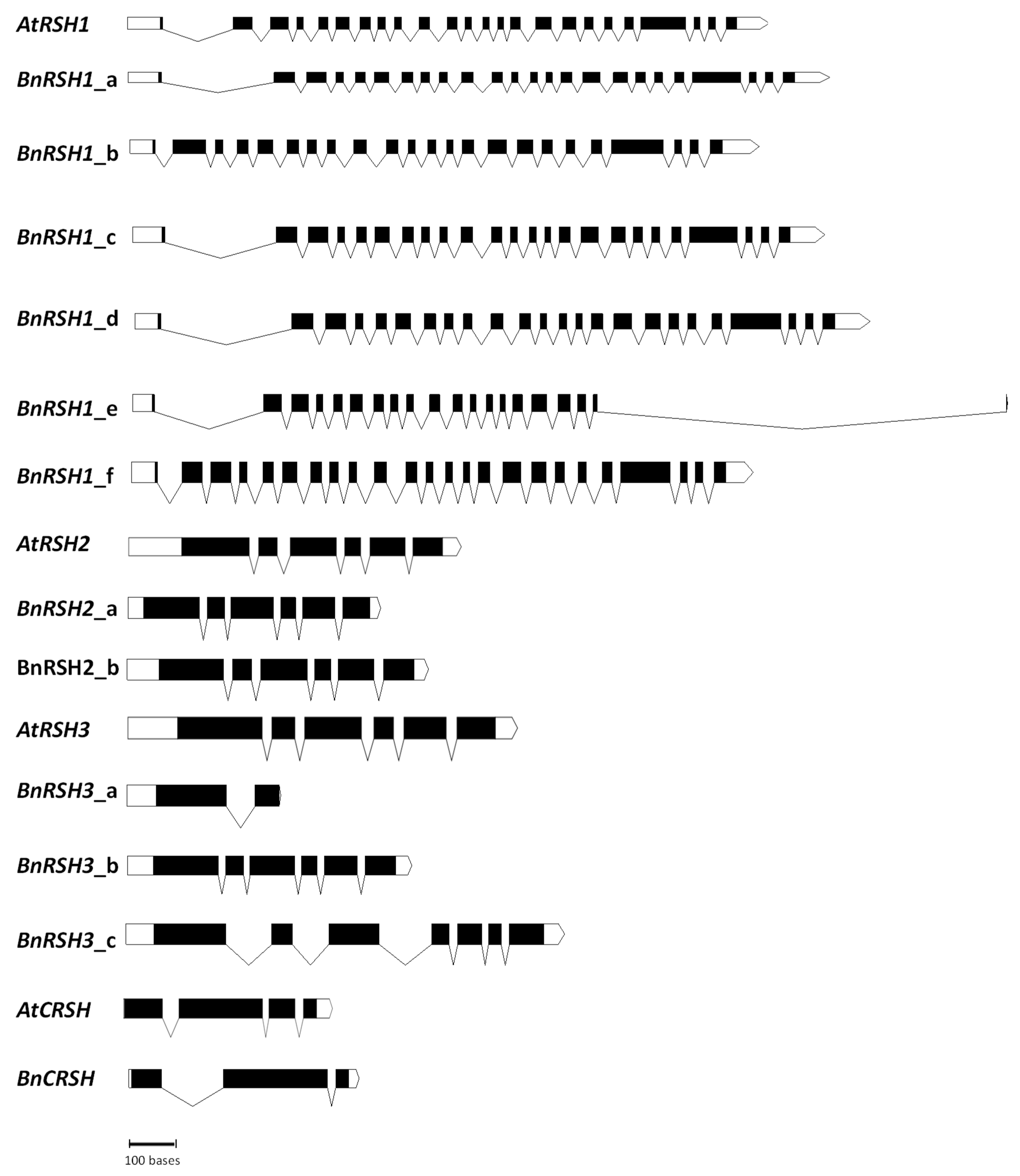 Ijms 22 10666 g002