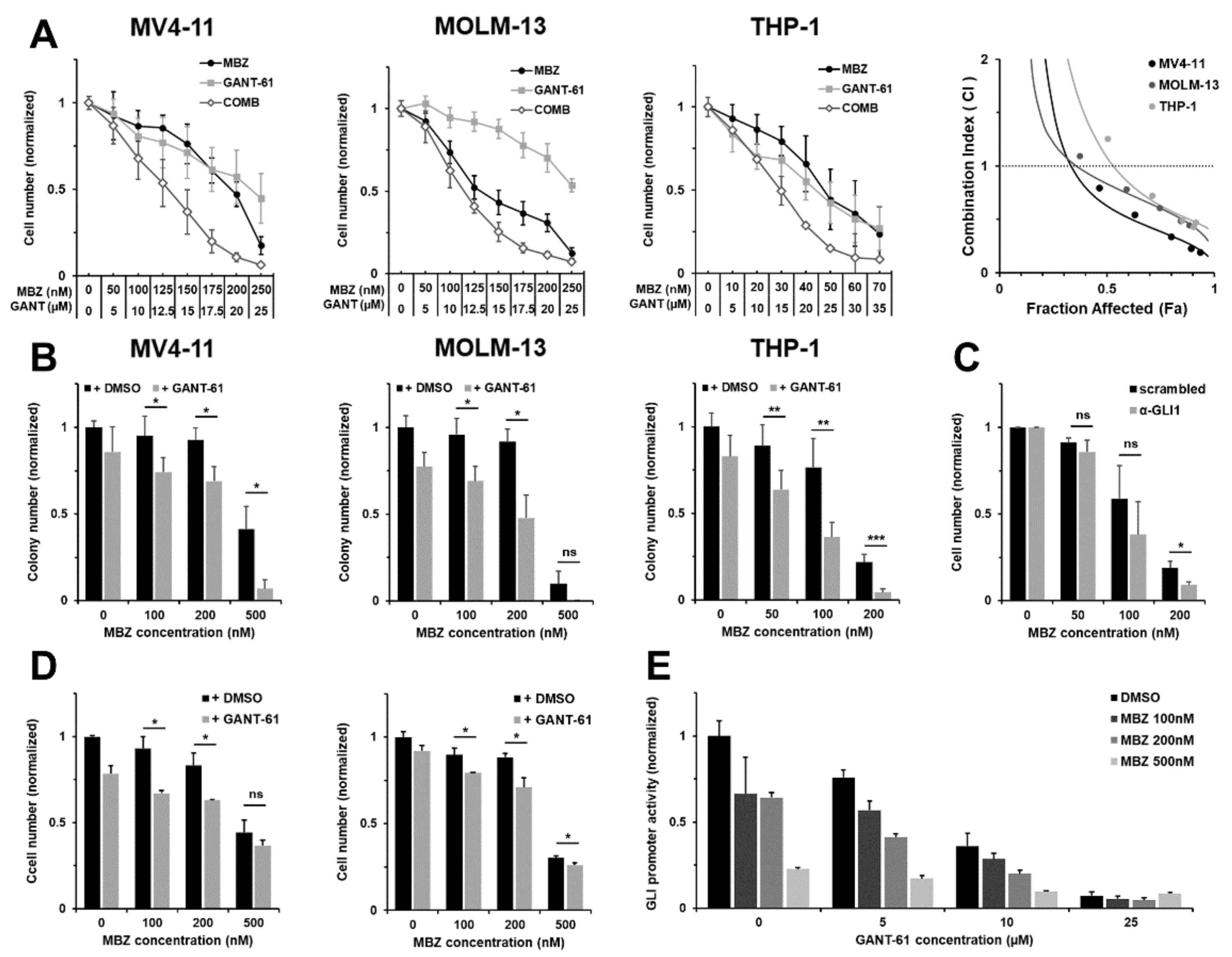IJMS | Free Full-Text | Mebendazole Mediates Proteasomal Degradation of GLI  Transcription Factors in Acute Myeloid Leukemia | HTML