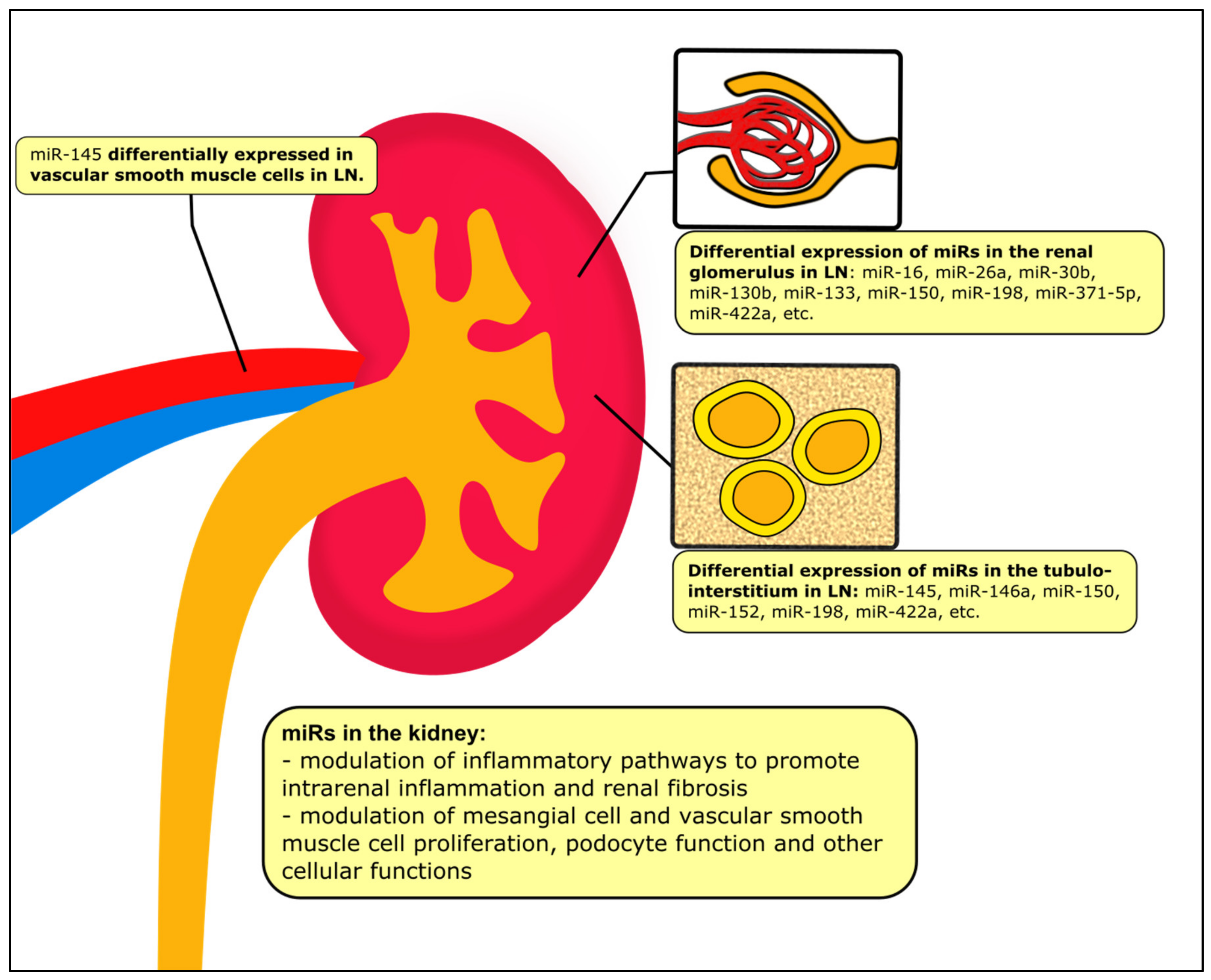 Ijms 22 10737 g002 Ijms 22 10737 g002