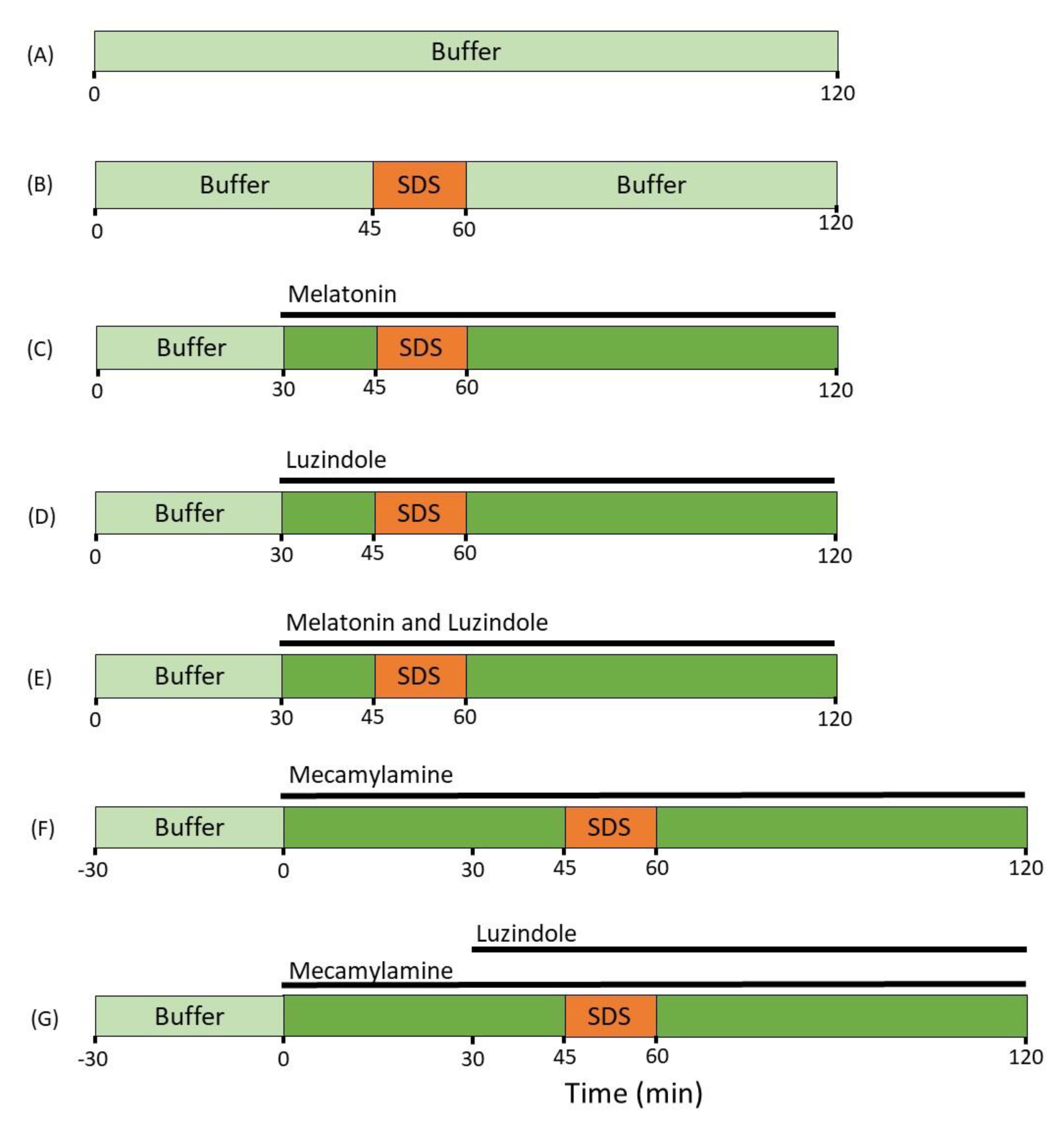 Ijms 22 10762 g003 Ijms 22 10762 g003
