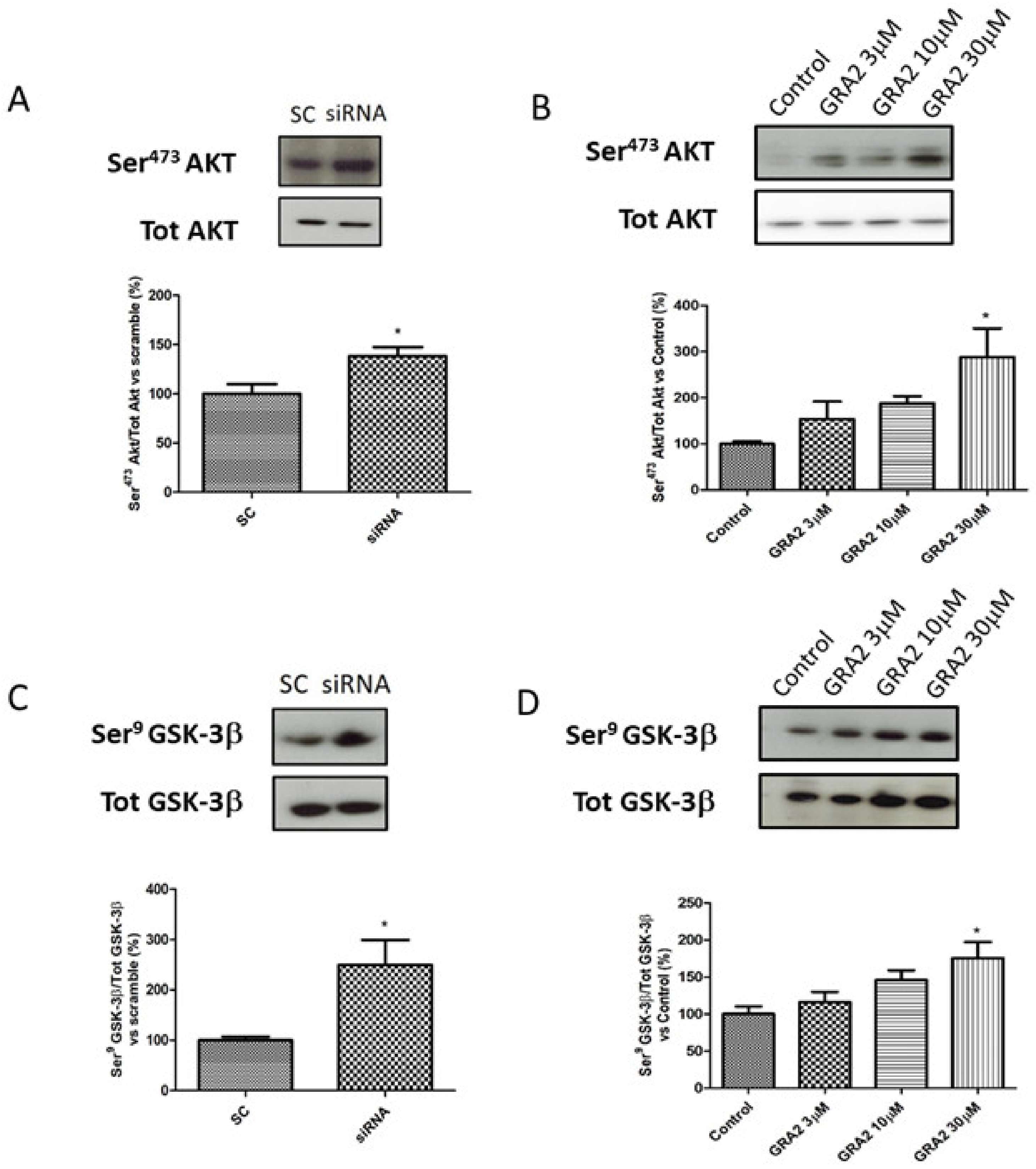 ijms free full text gpr21 inhibition increases glucose uptake in hepg2 cells html