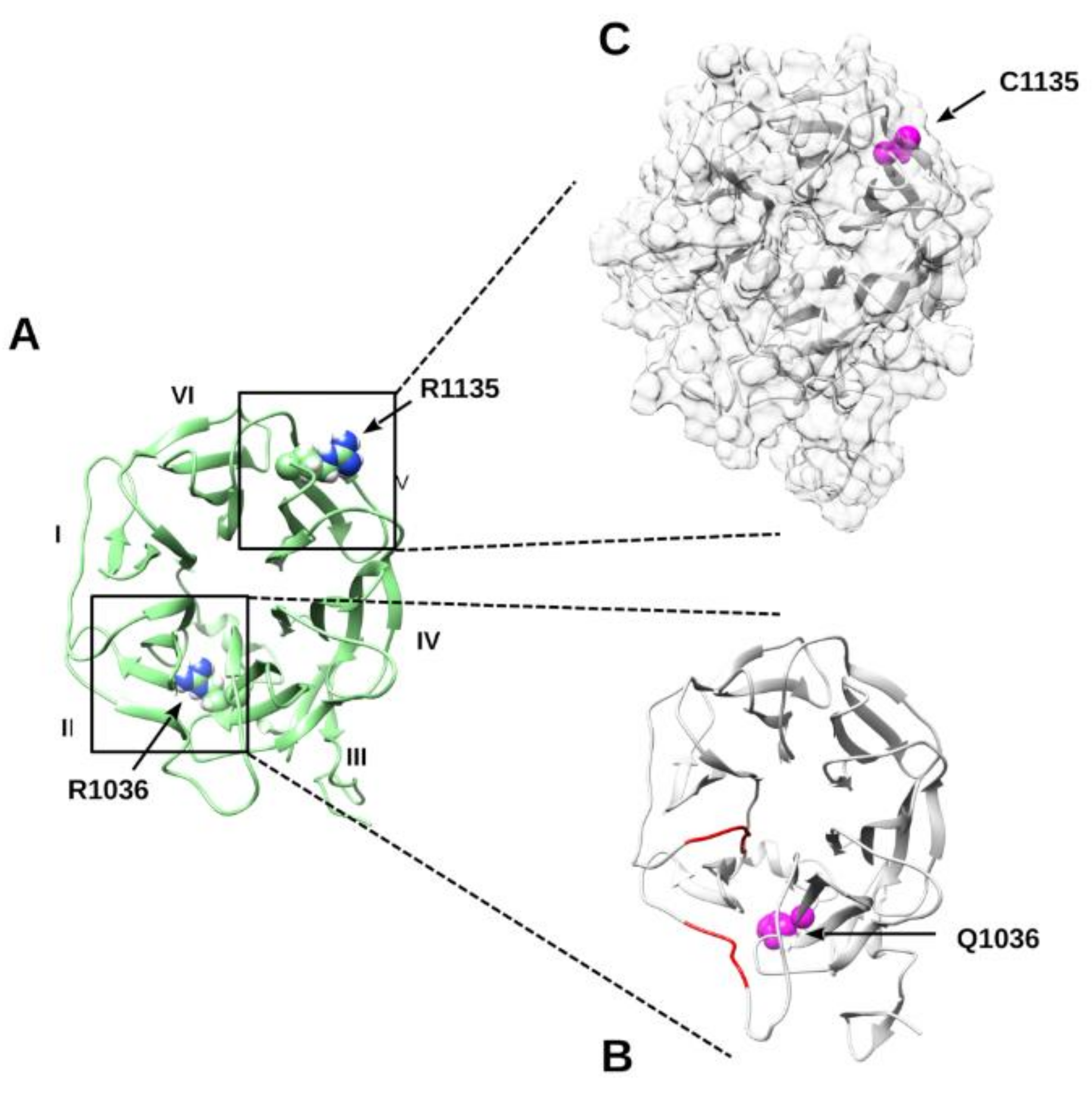 Ijms 22 10834 g002 Ijms 22 10834 g002