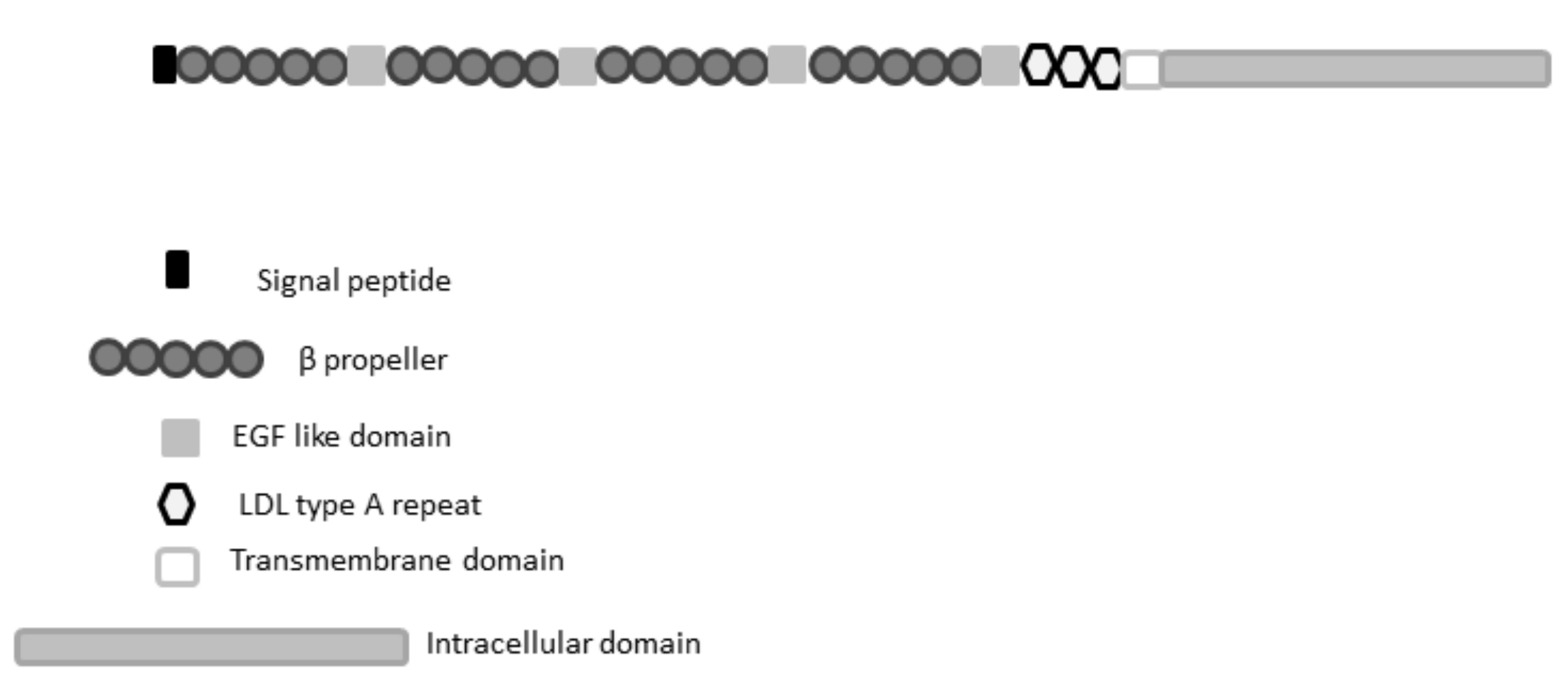 Ijms 22 10834 g003 Ijms 22 10834 g003