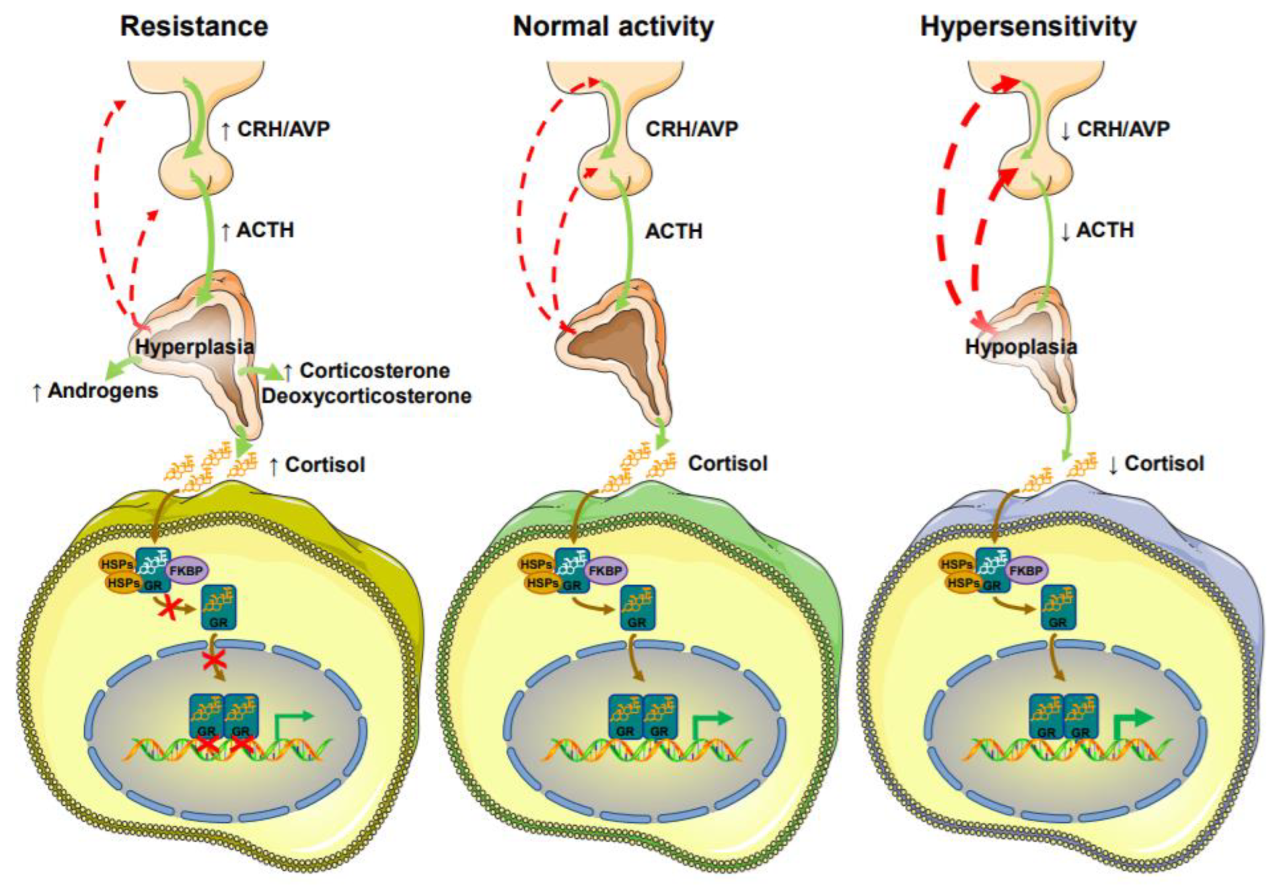 Ijms 22 10839 g002 Ijms 22 10839 g002