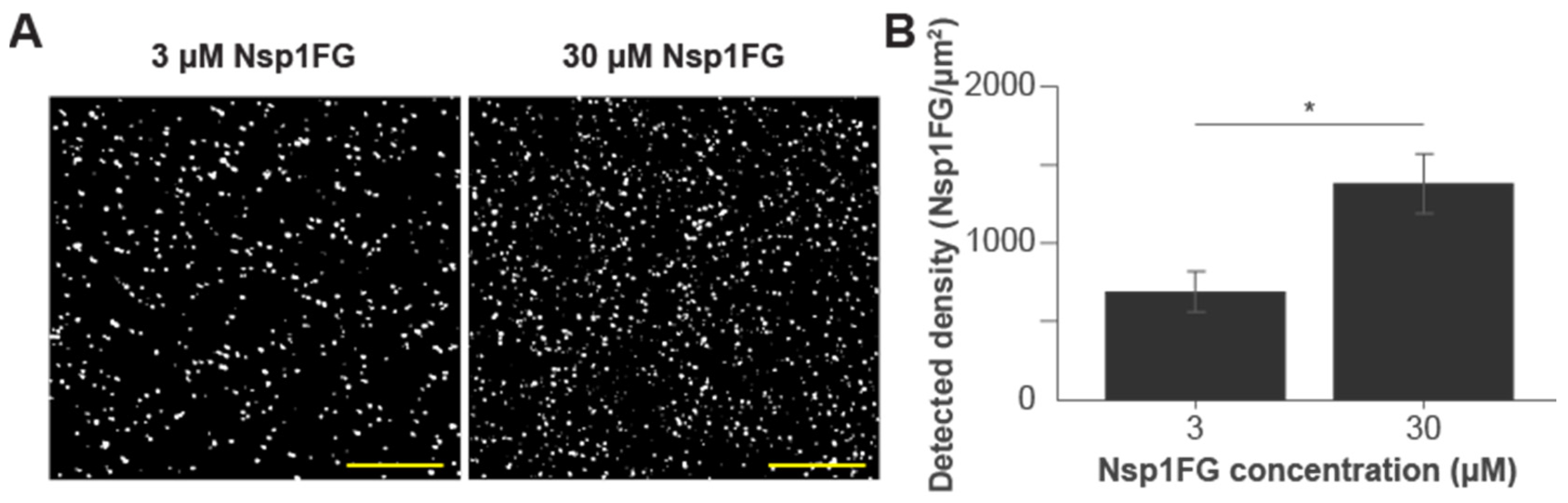 Ijms 22 10898 g001