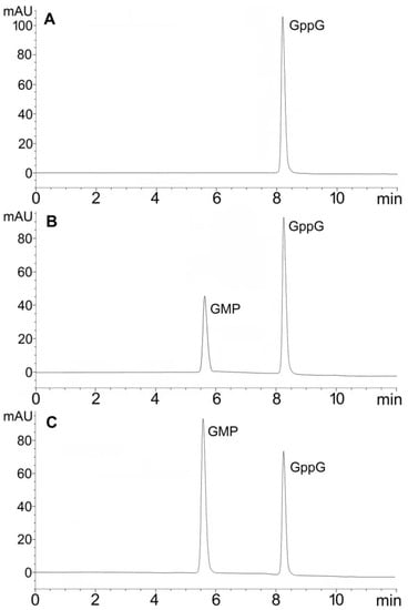 Ijms Free Full Text Insight Into The Binding And Hydrolytic Preferences Of Hnudt16 Based On Nucleotide Diphosphate Substrates Html