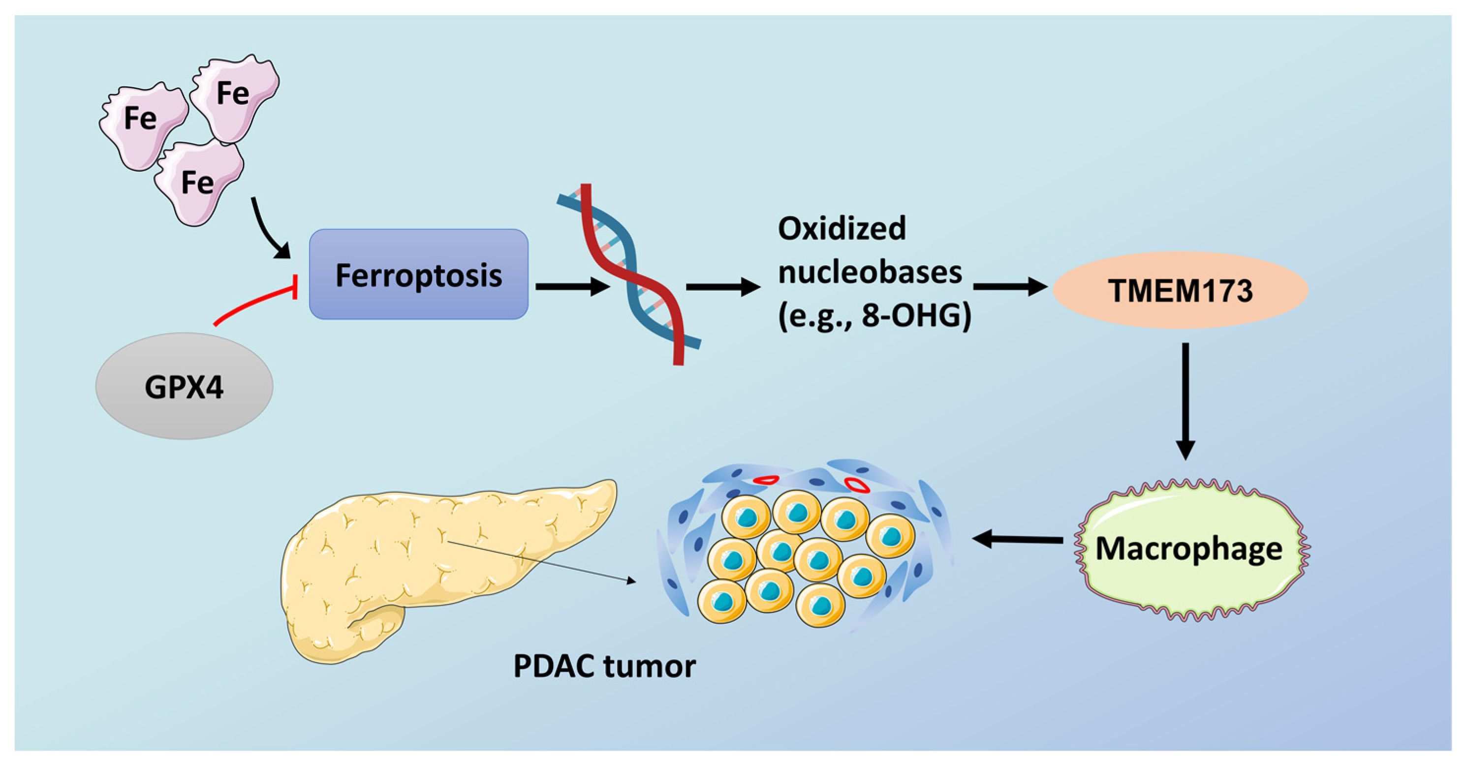 Ijms 22 10944 g002 Ijms 22 10944 g002