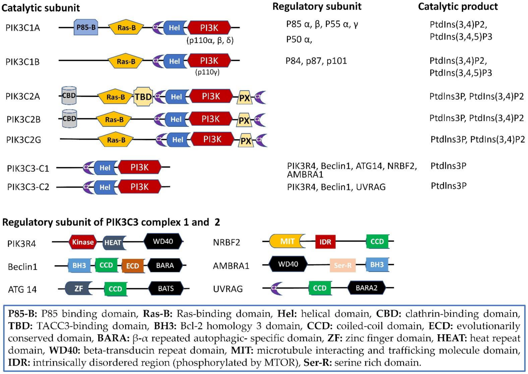 Ijms 22 10964 g001 Ijms 22 10964 g001