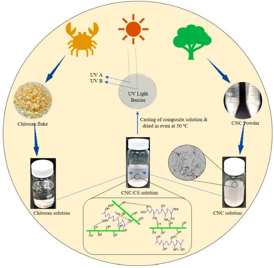 IJMS | Free Full-Text | Selected Applications Of Chitosan Composites