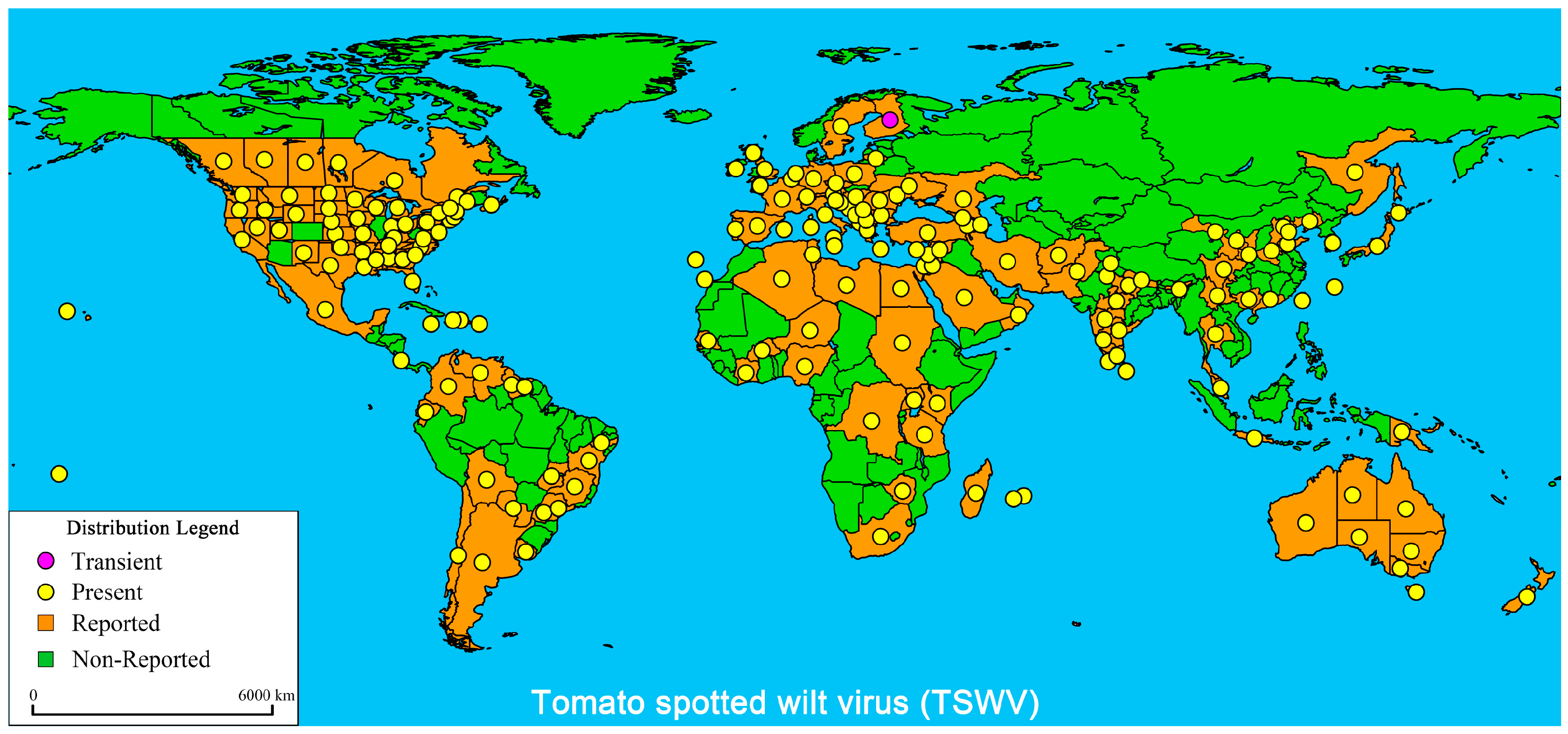 IJMS | Free Full-Text | Natural Resources Resistance to Tomato Spotted Wilt  Virus (TSWV) in Tomato (Solanum lycopersicum)