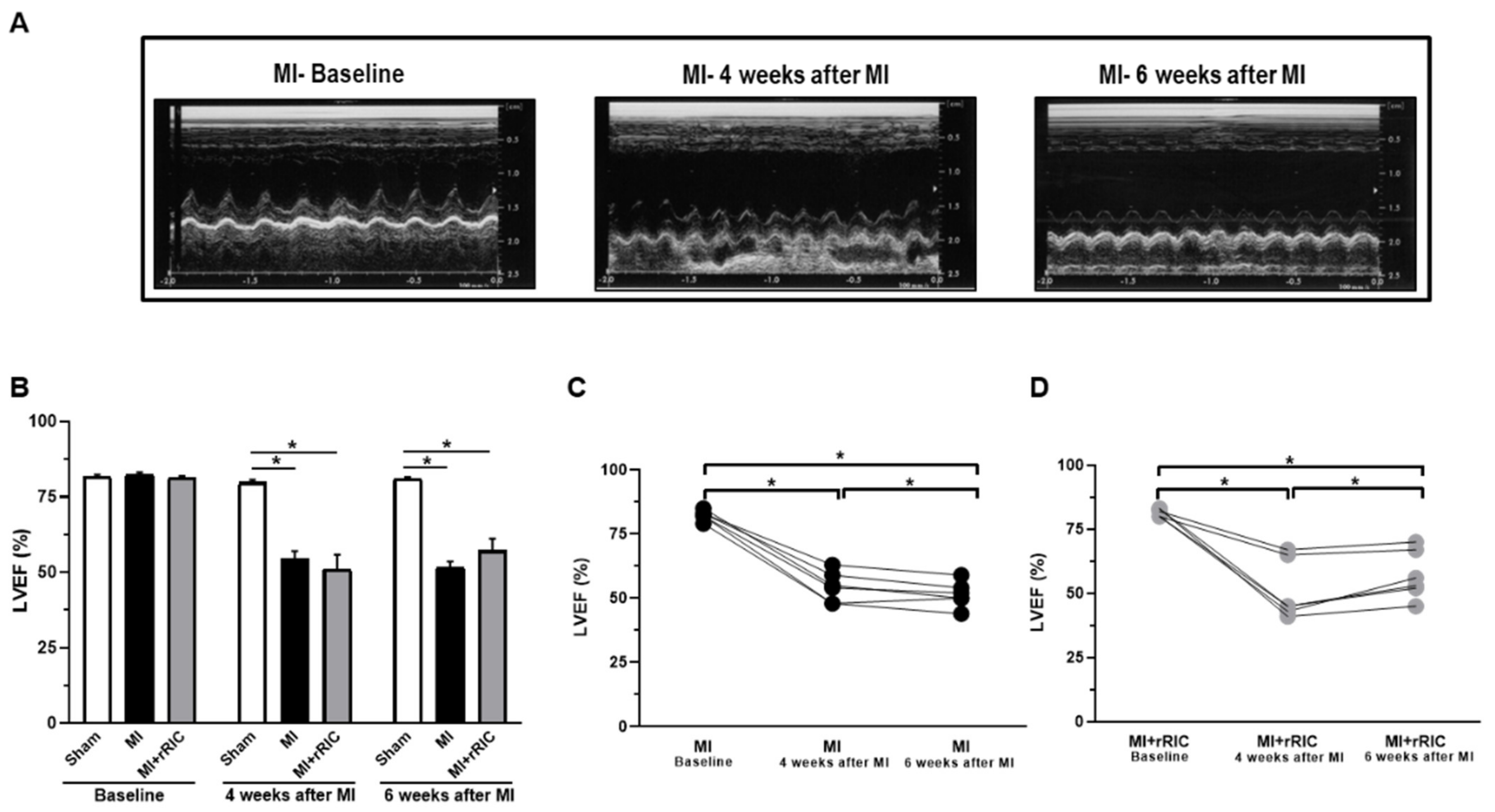 Ijms 22 11064 g003 Ijms 22 11064 g003