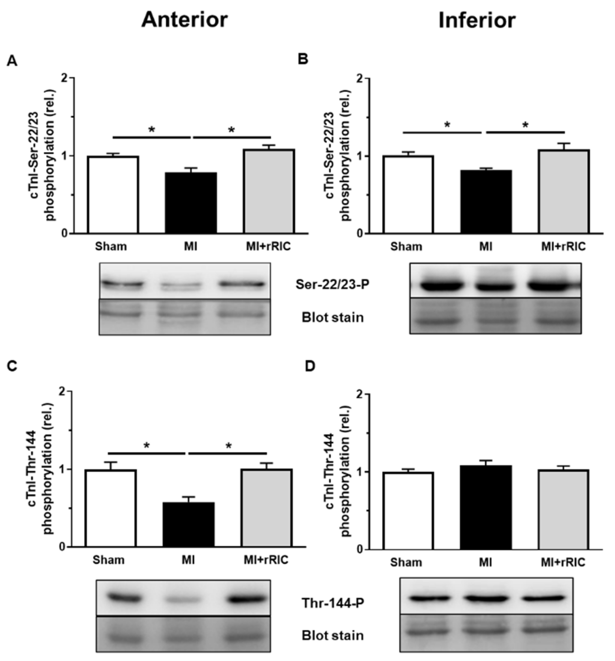 Ijms 22 11064 g006 Ijms 22 11064 g006