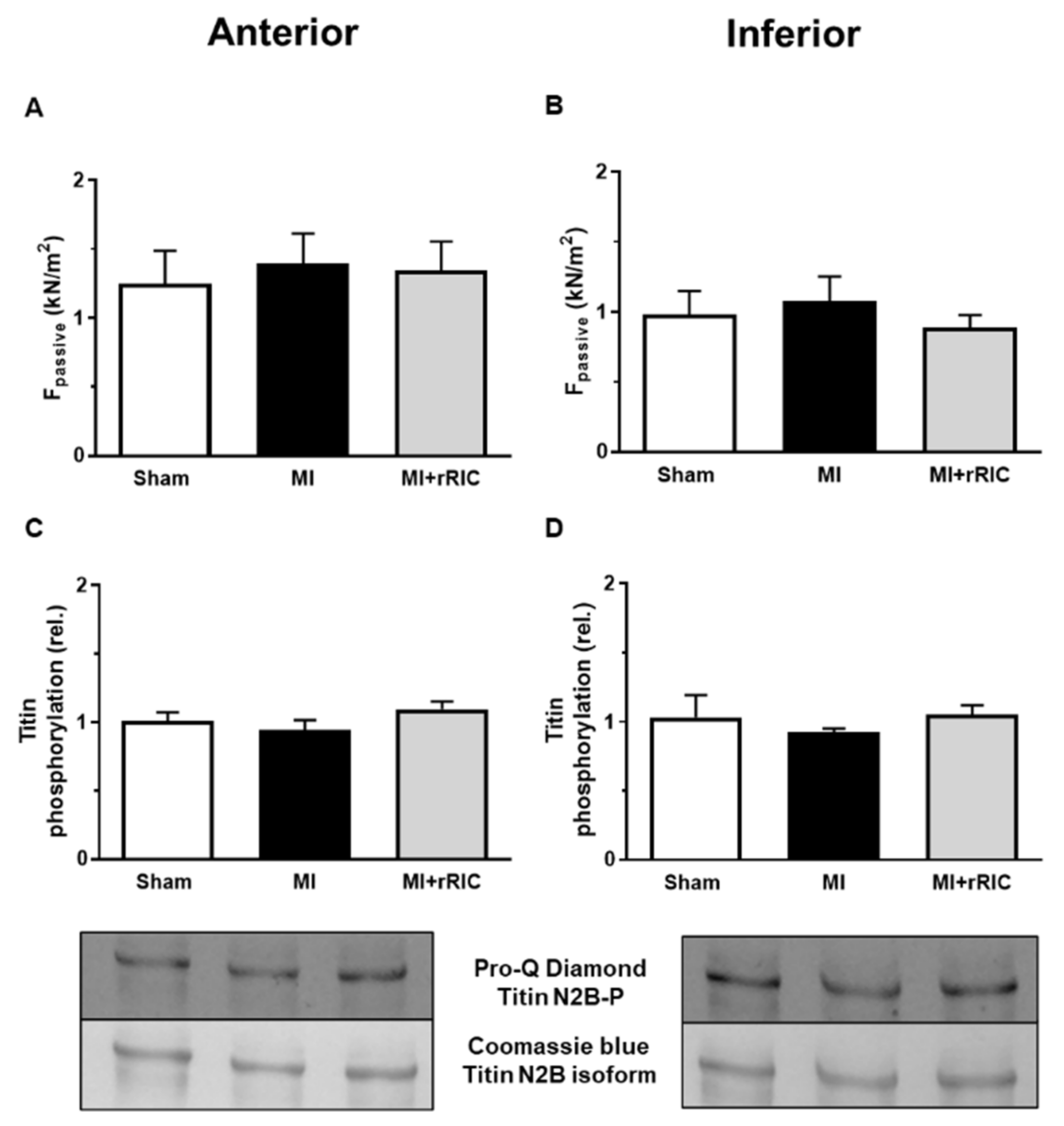 Ijms 22 11064 g008 Ijms 22 11064 g008