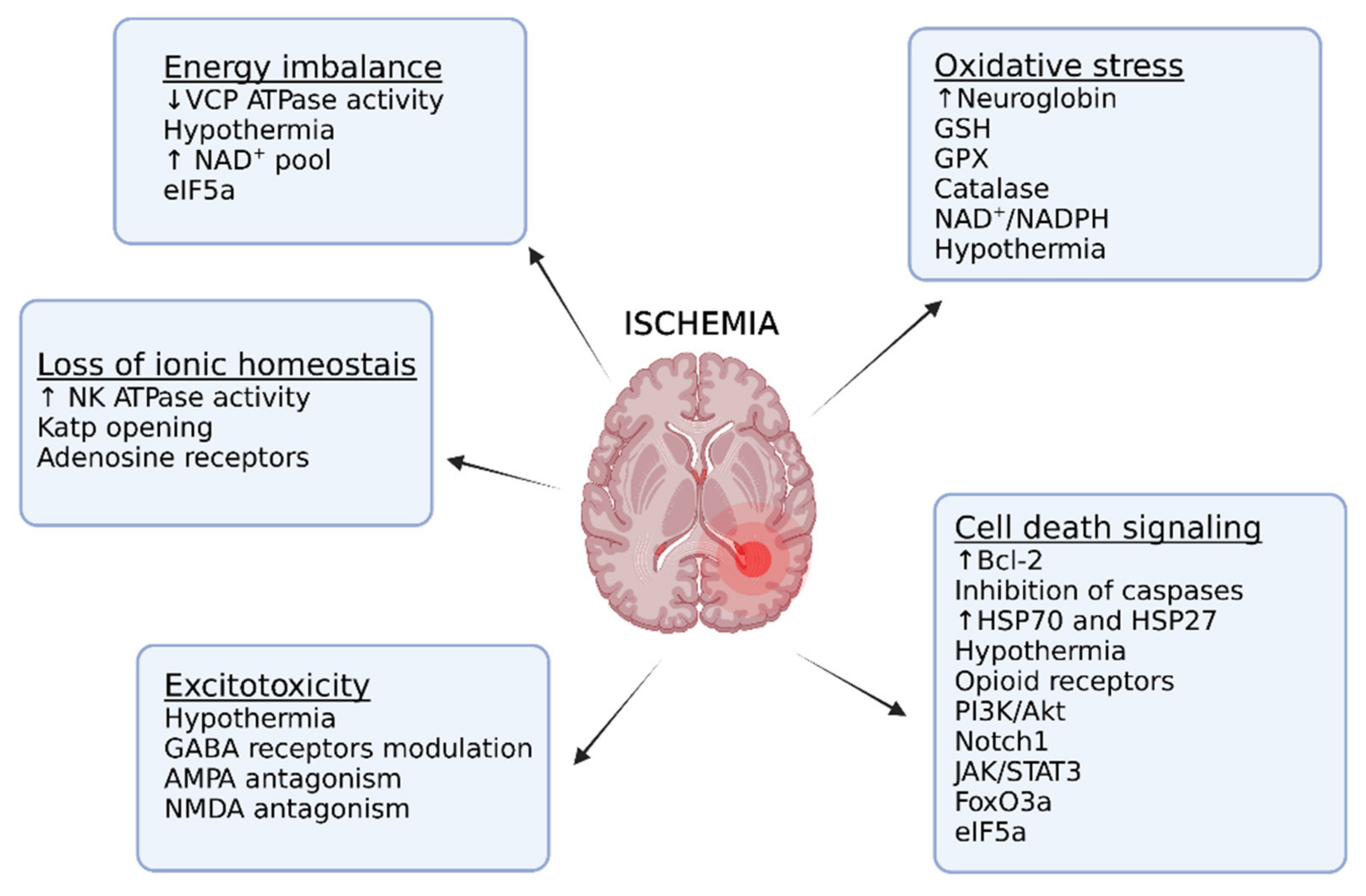 Ijms 22 11131 g003 Ijms 22 11131 g003
