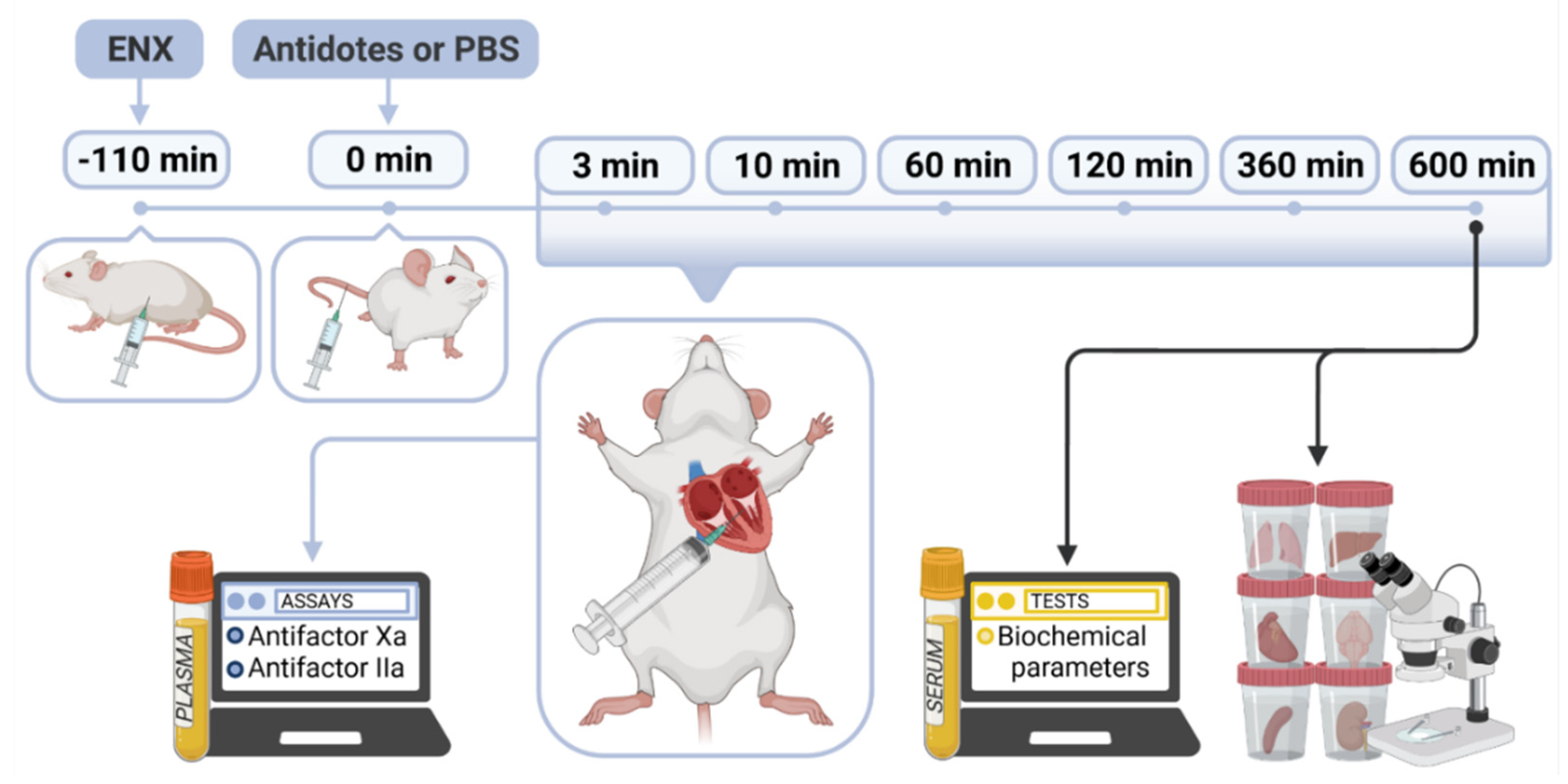 Ijms 22 11149 g005 Ijms 22 11149 g005