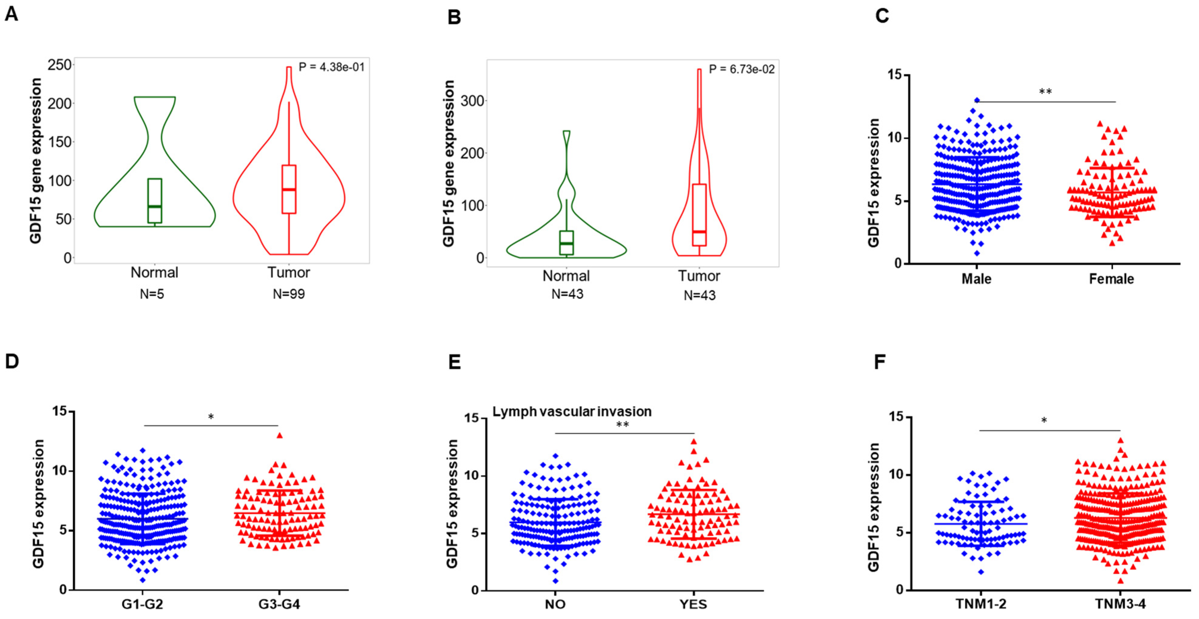 GDF15 mediates the effects of metformin on body weight and energy