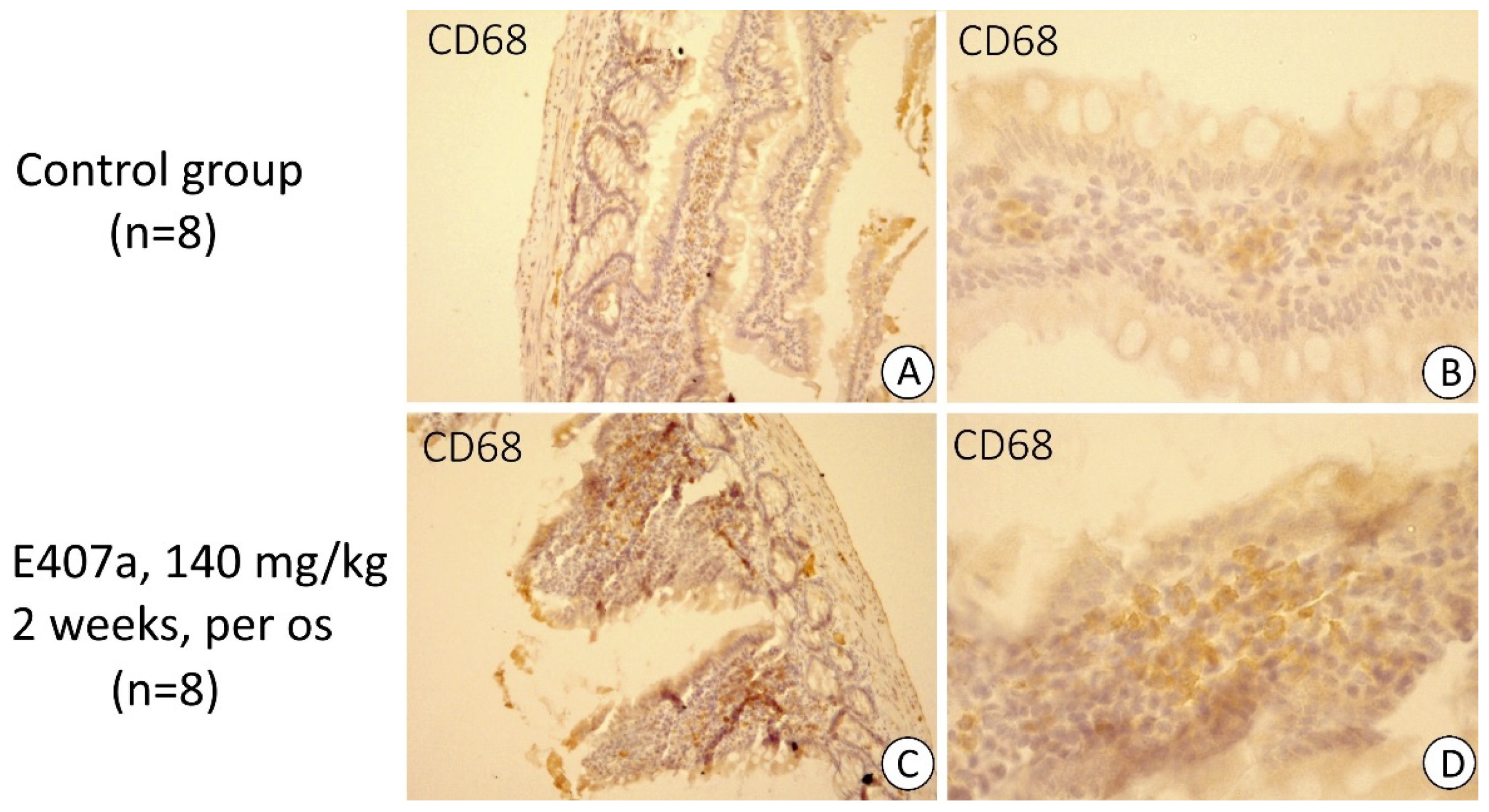 Carrageen E407a