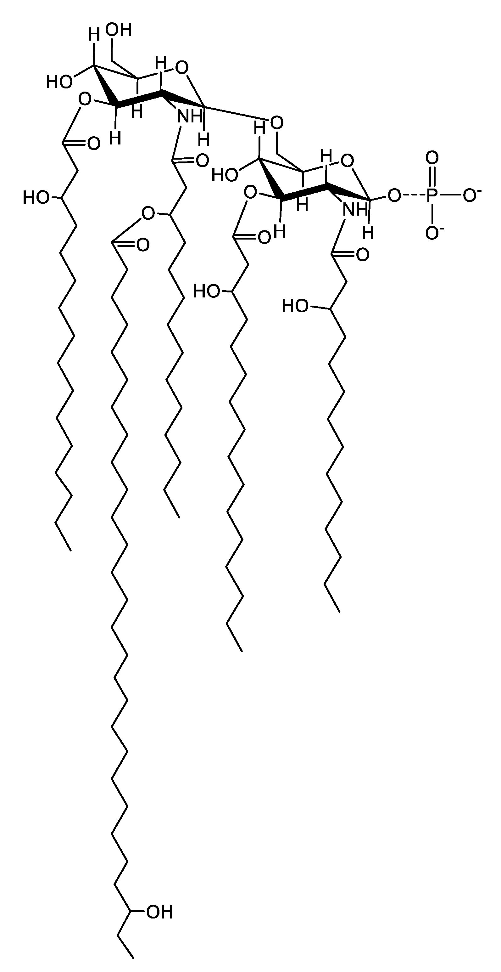 IJMS | Free Full-Text | Structure of Lipopolysaccharide from ...