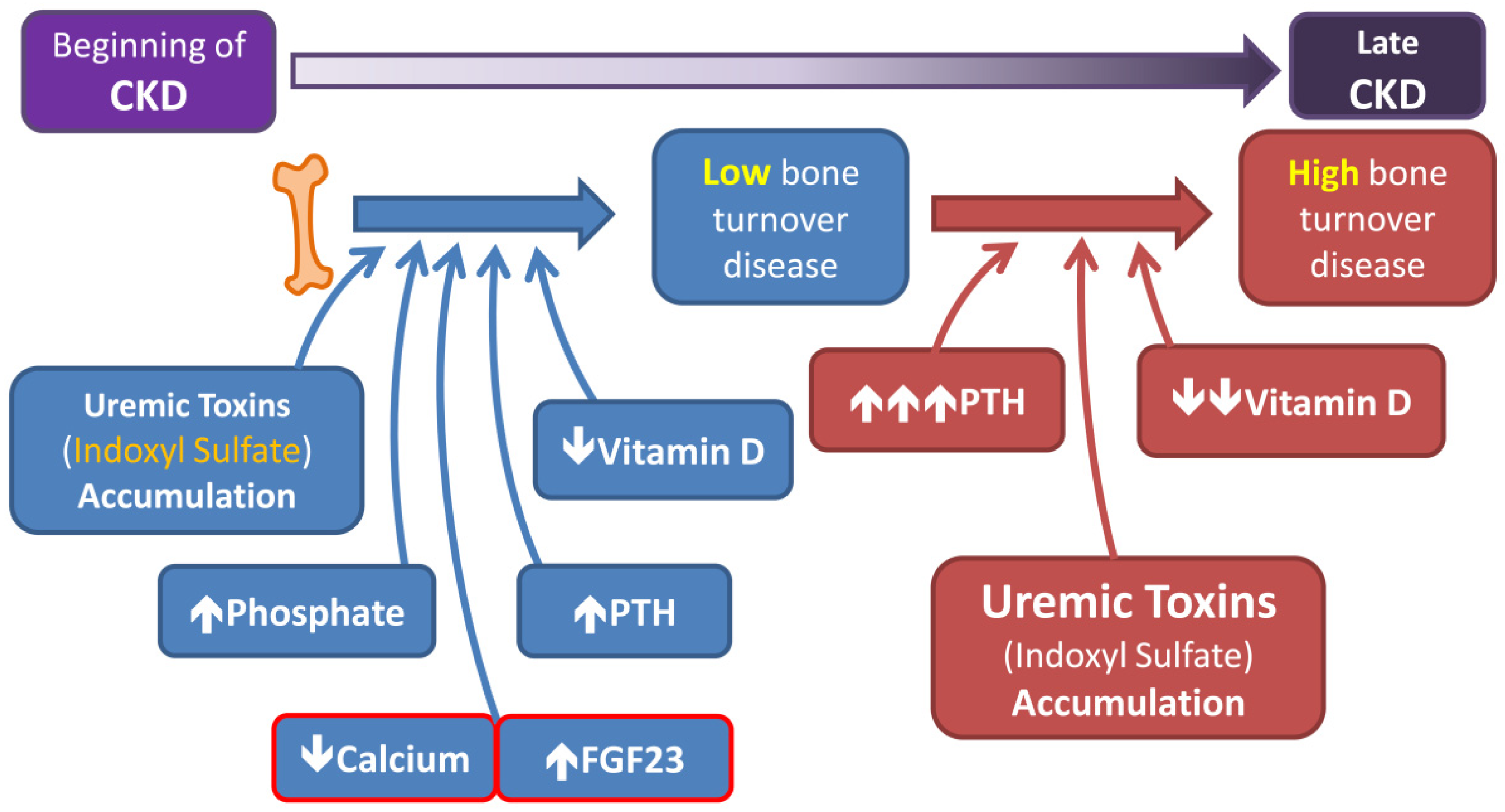 Ijms 22 11265 g002 Ijms 22 11265 g002