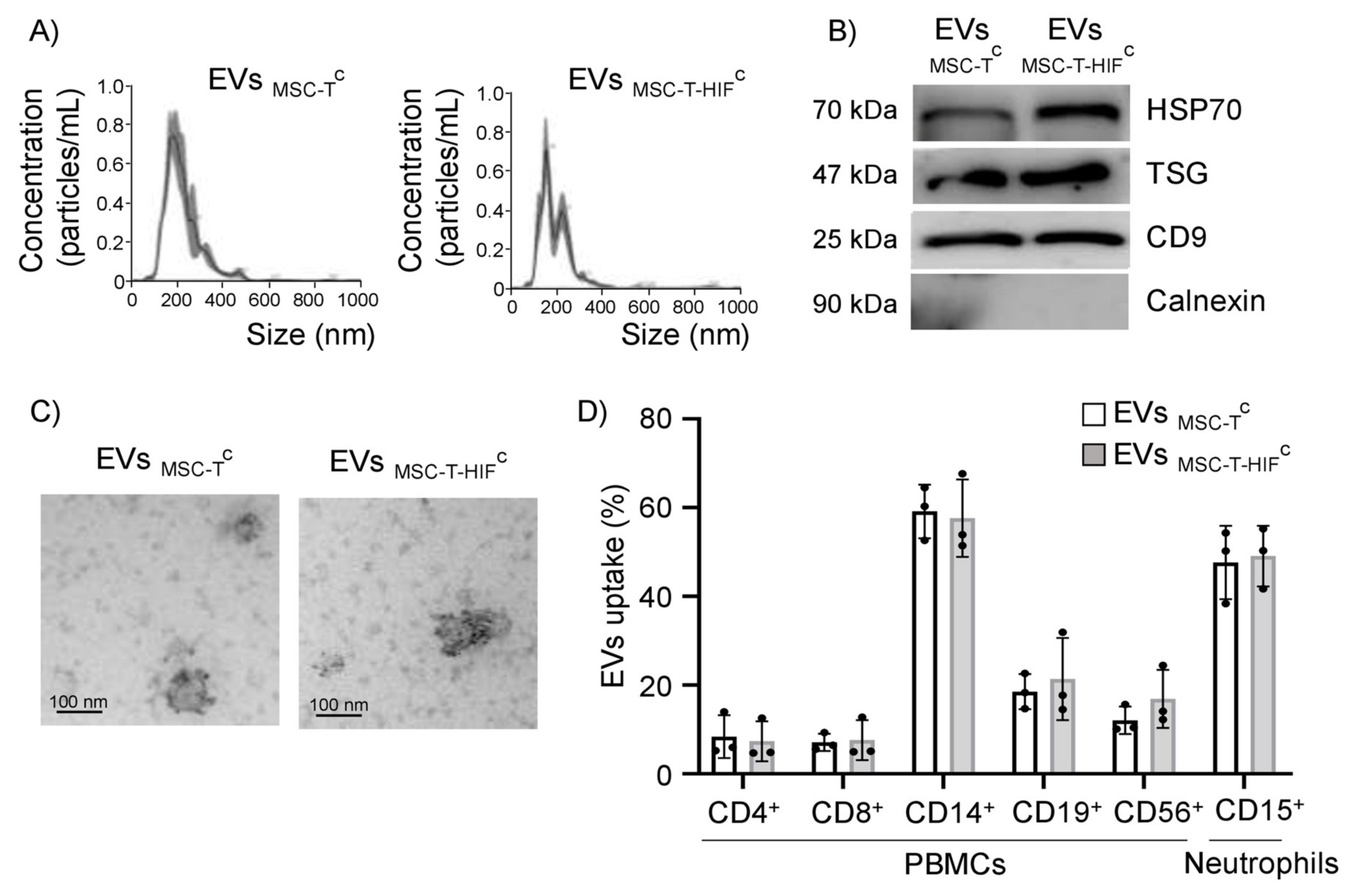 IJMS | Free Full-Text | HIF-Overexpression and Pro-Inflammatory Priming in  Human Mesenchymal Stromal Cells Improves the Healing Properties of  Extracellular Vesicles in Experimental Crohn's Disease | HTML