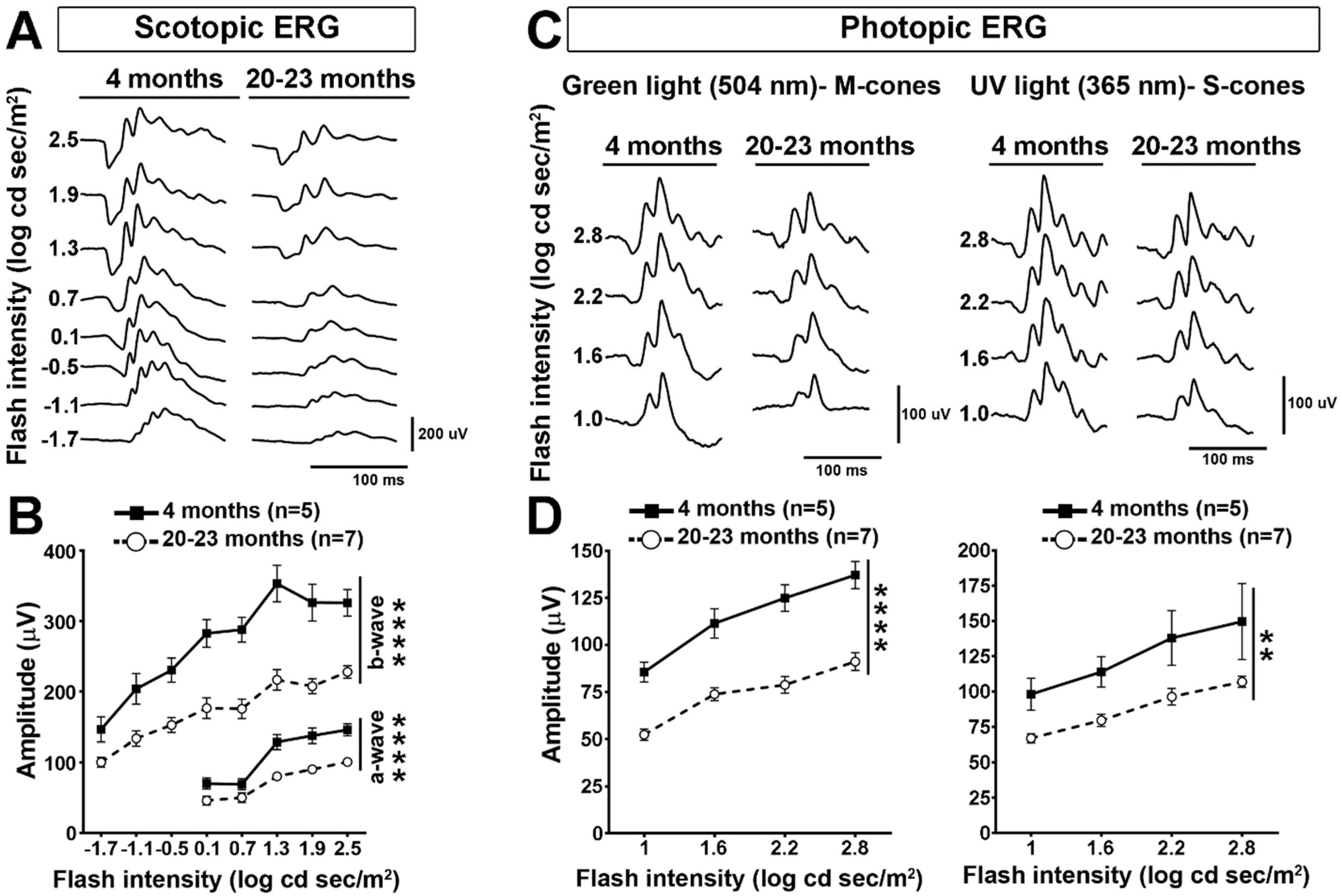 Ijms 22 11344 g001 Ijms 22 11344 g001
