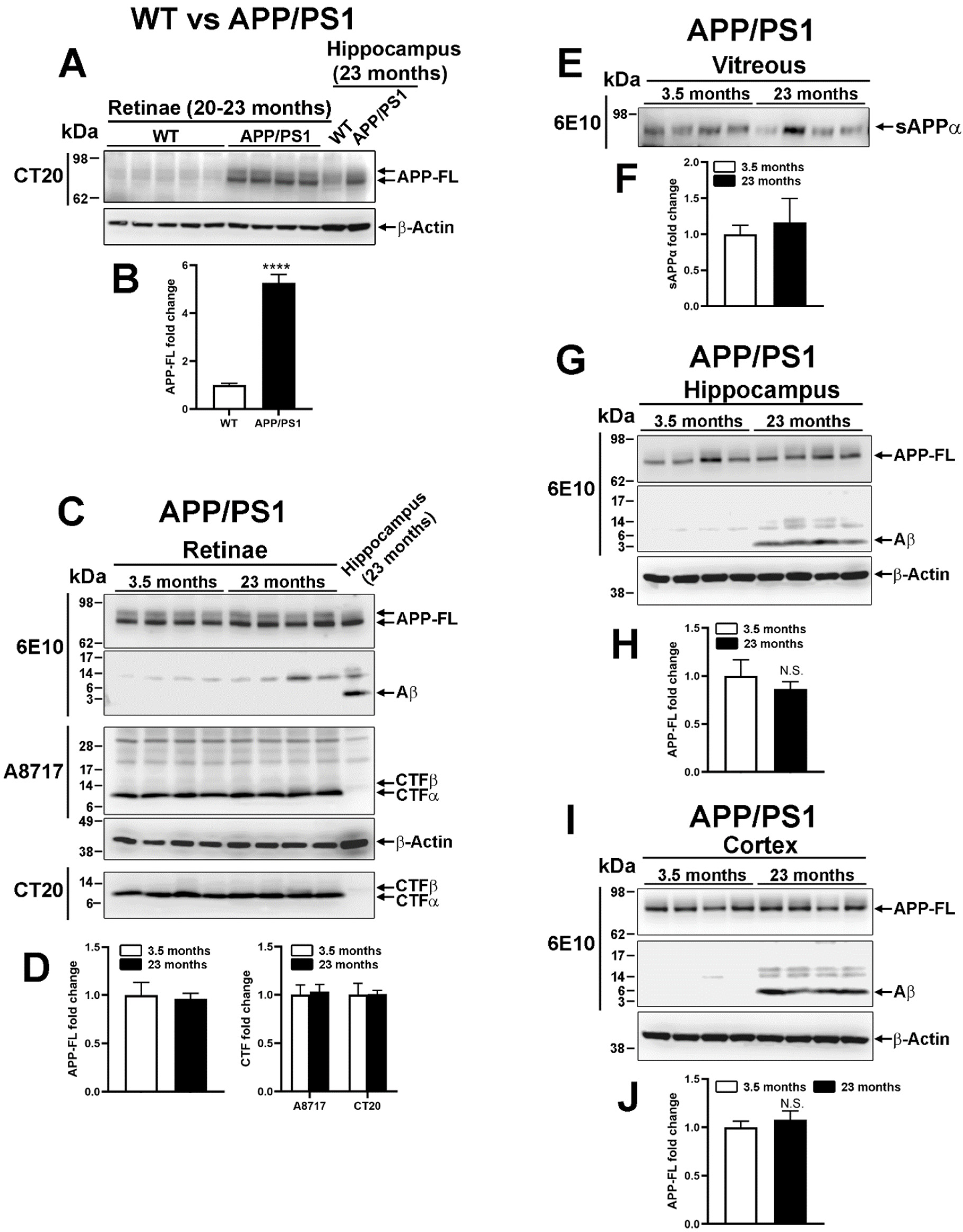 Ijms 22 11344 g003 Ijms 22 11344 g003