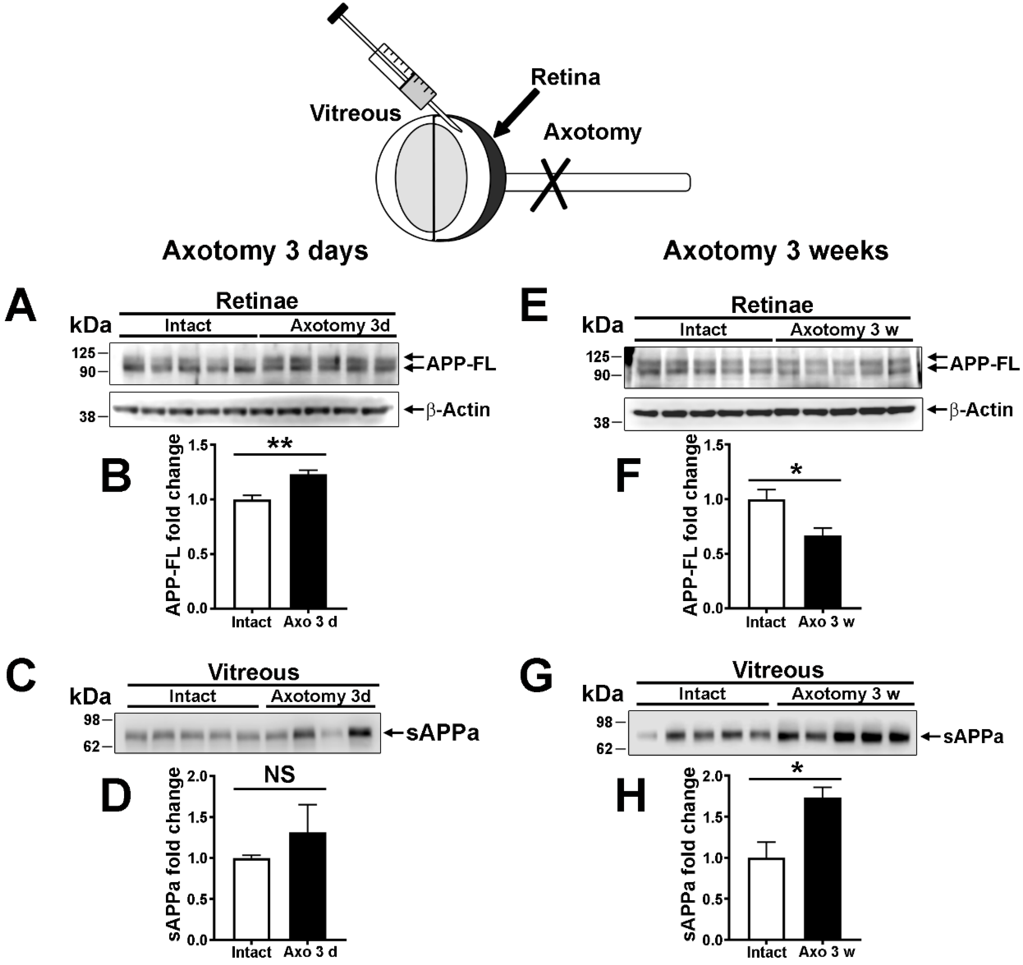 Ijms 22 11344 g004 Ijms 22 11344 g004