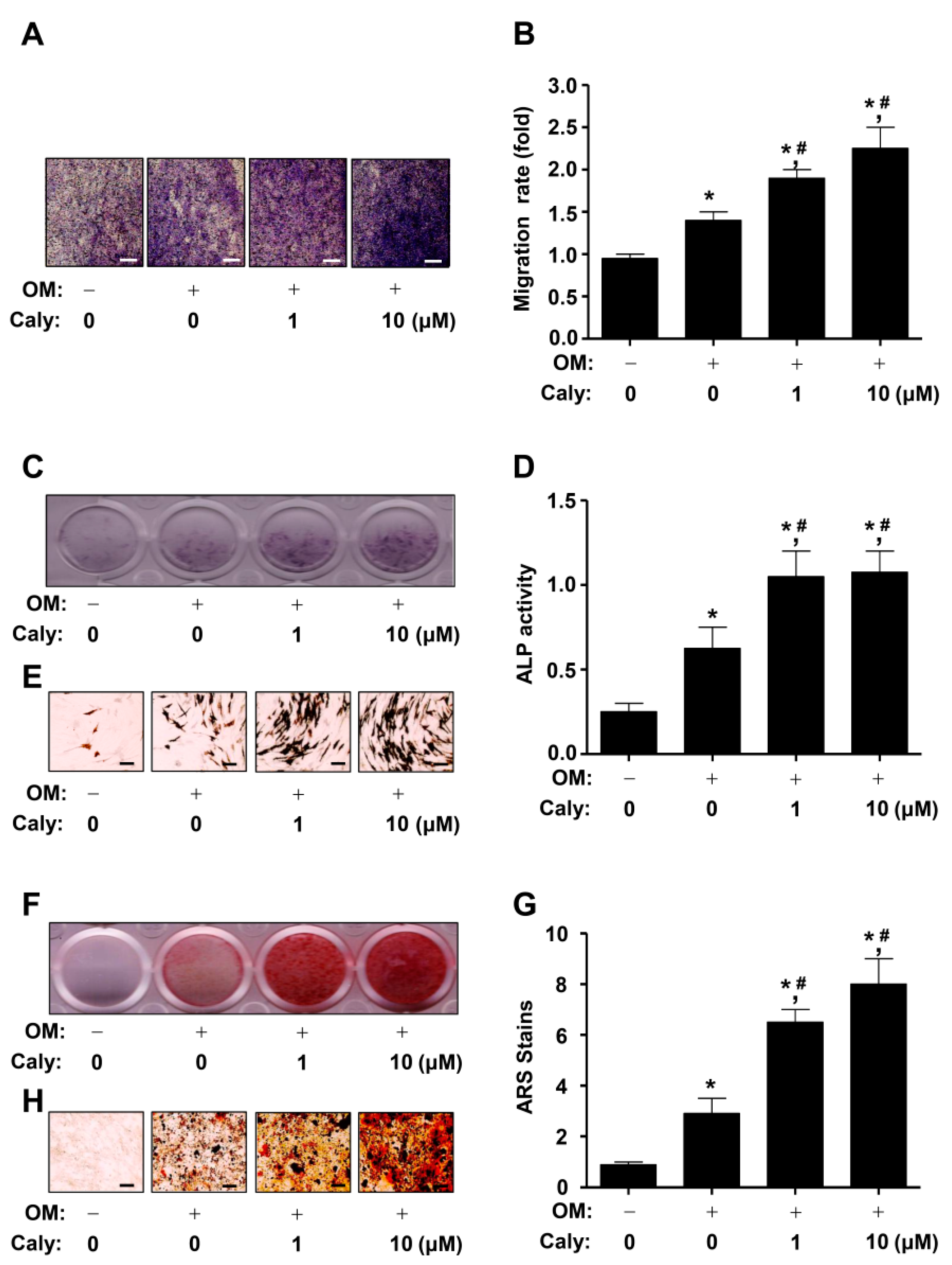 Ijms 22 11362 g002 Ijms 22 11362 g002