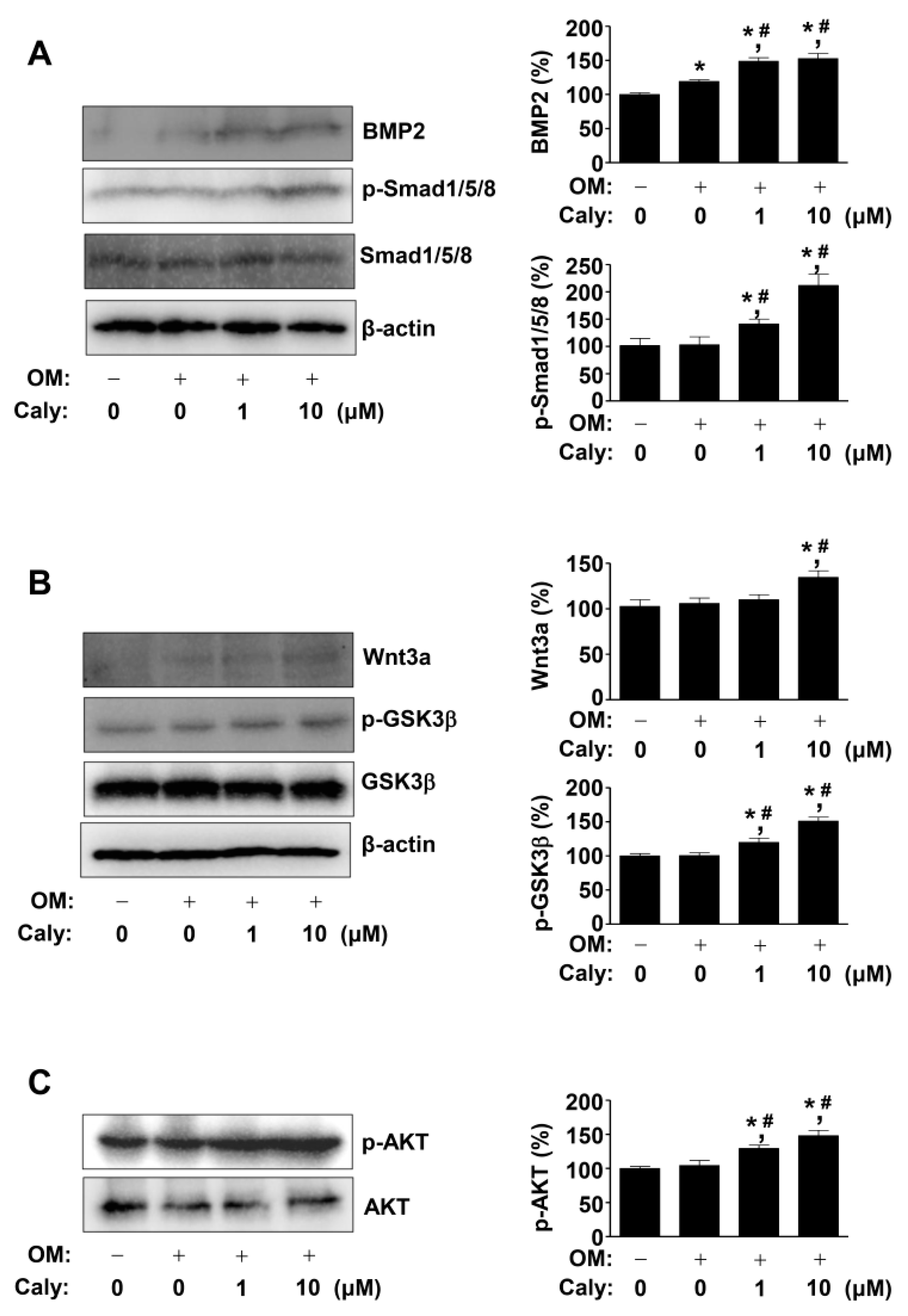 Ijms 22 11362 g003 Ijms 22 11362 g003