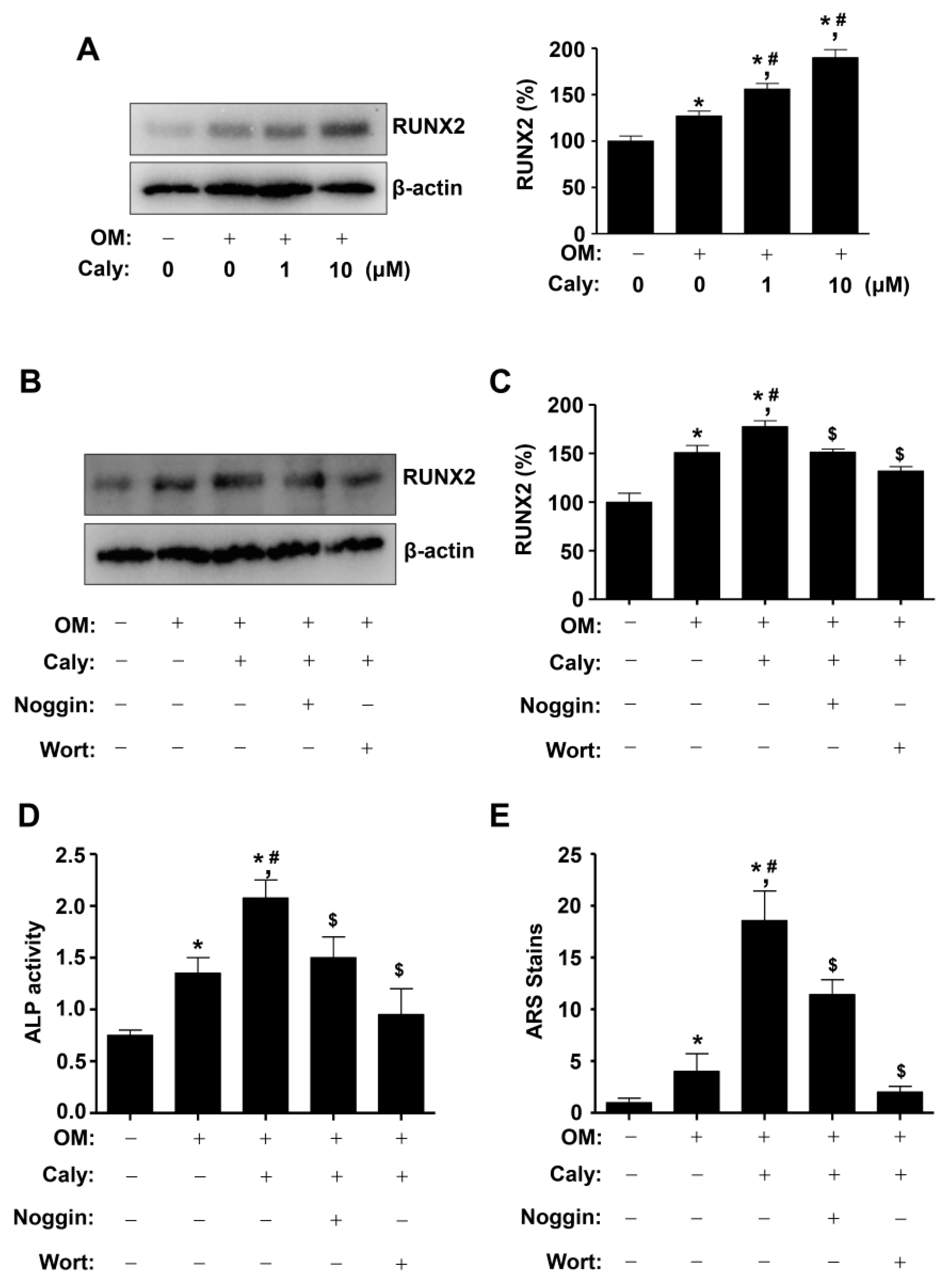 Ijms 22 11362 g004 Ijms 22 11362 g004