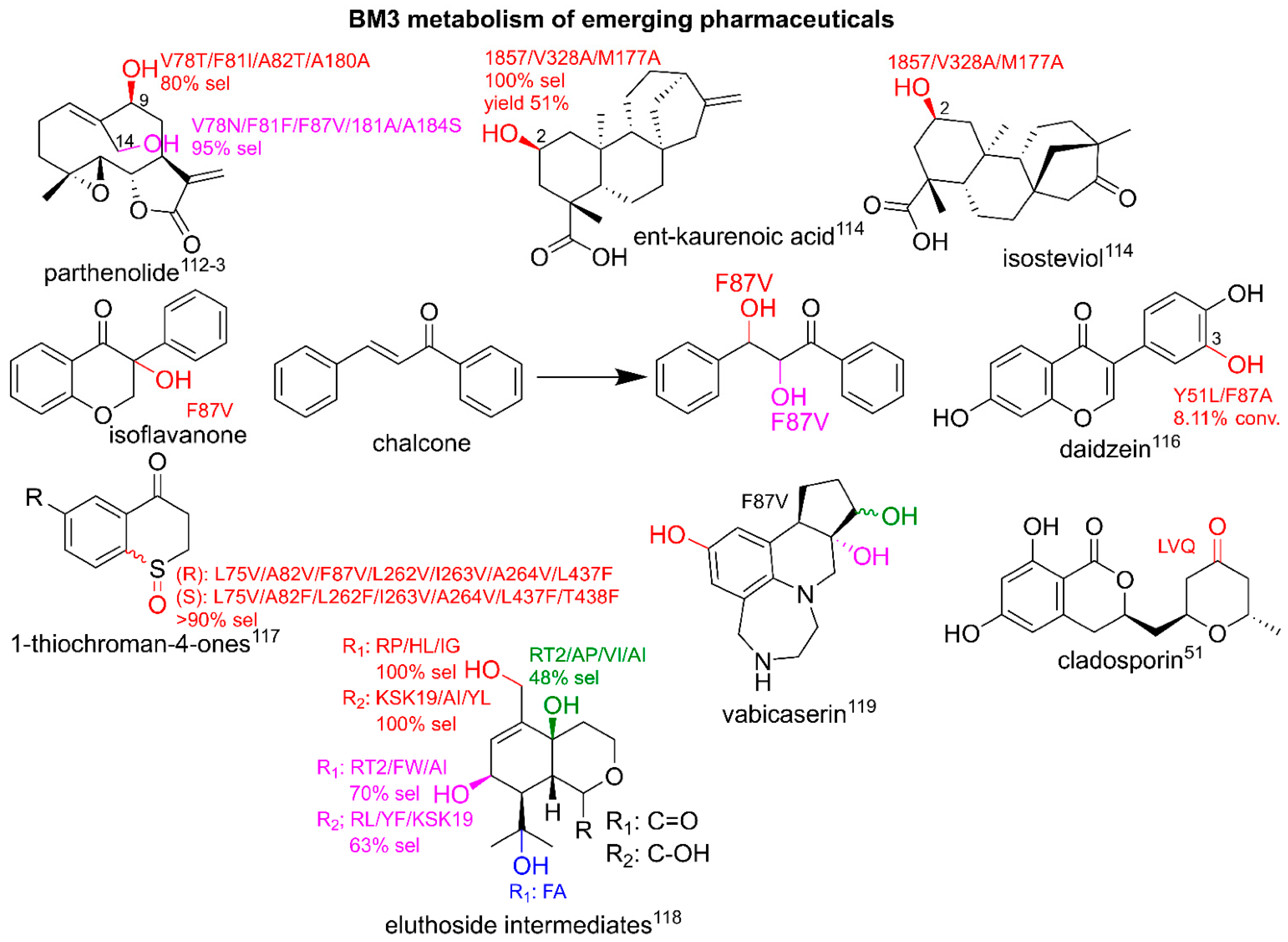 Ijms 22 11380 g007 Ijms 22 11380 g007