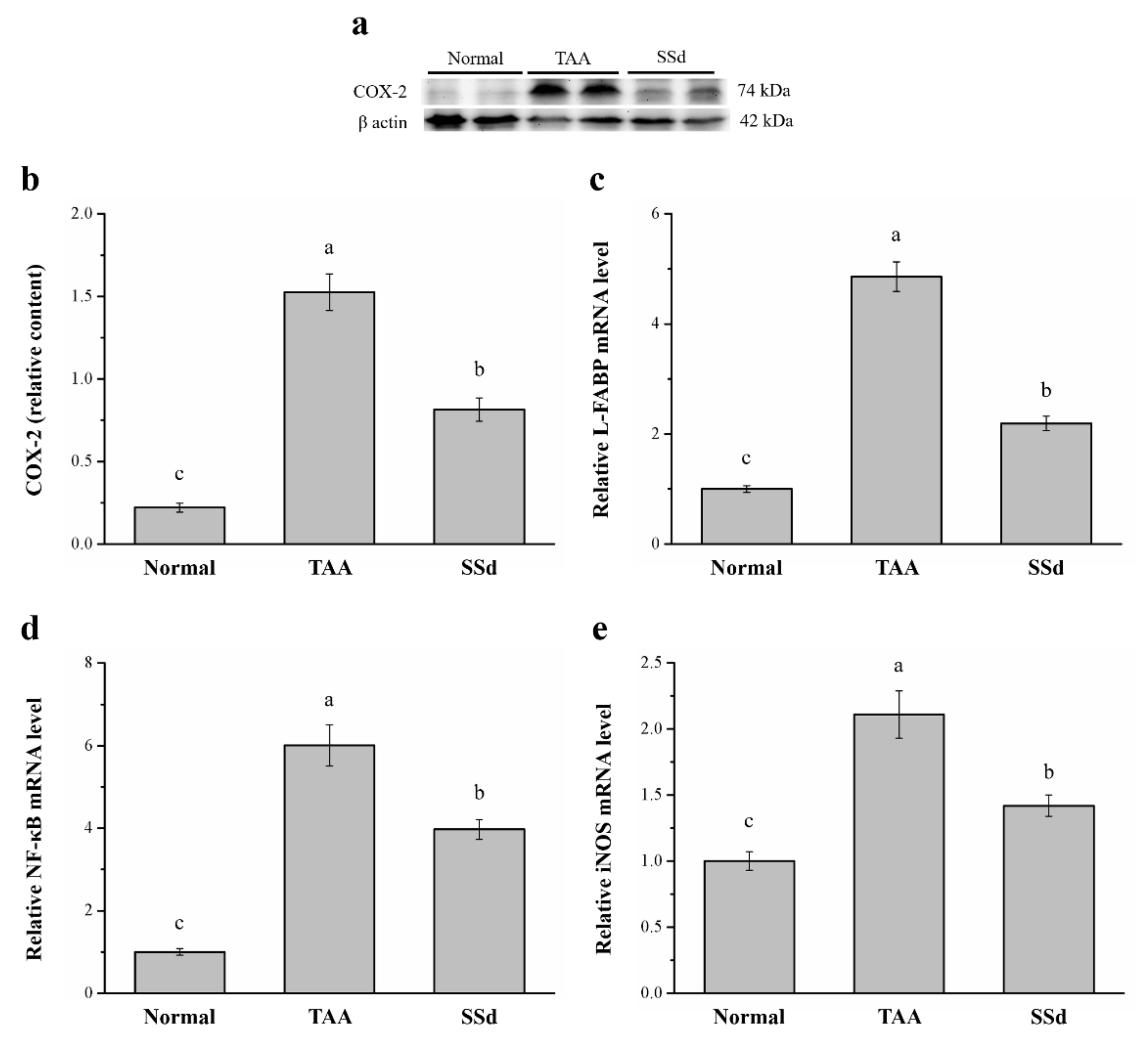 Ijms 22 11383 g005 Ijms 22 11383 g005