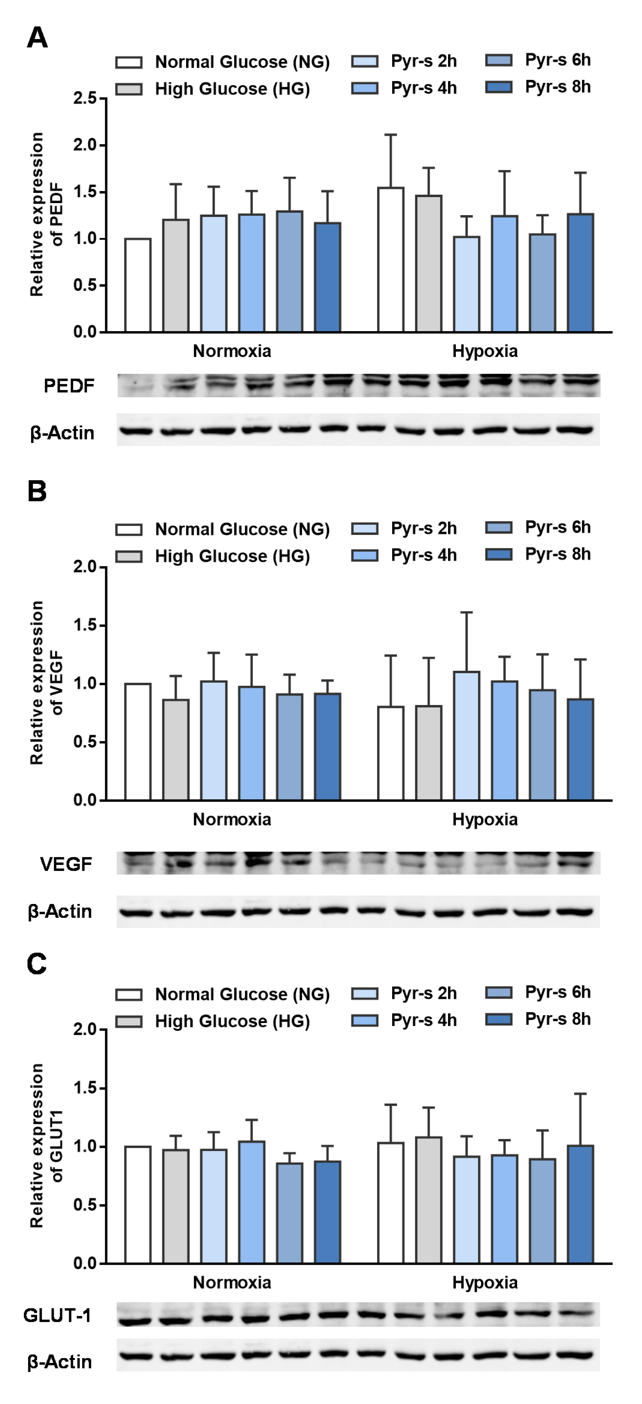 Ijms 22 11402 g002 Ijms 22 11402 g002