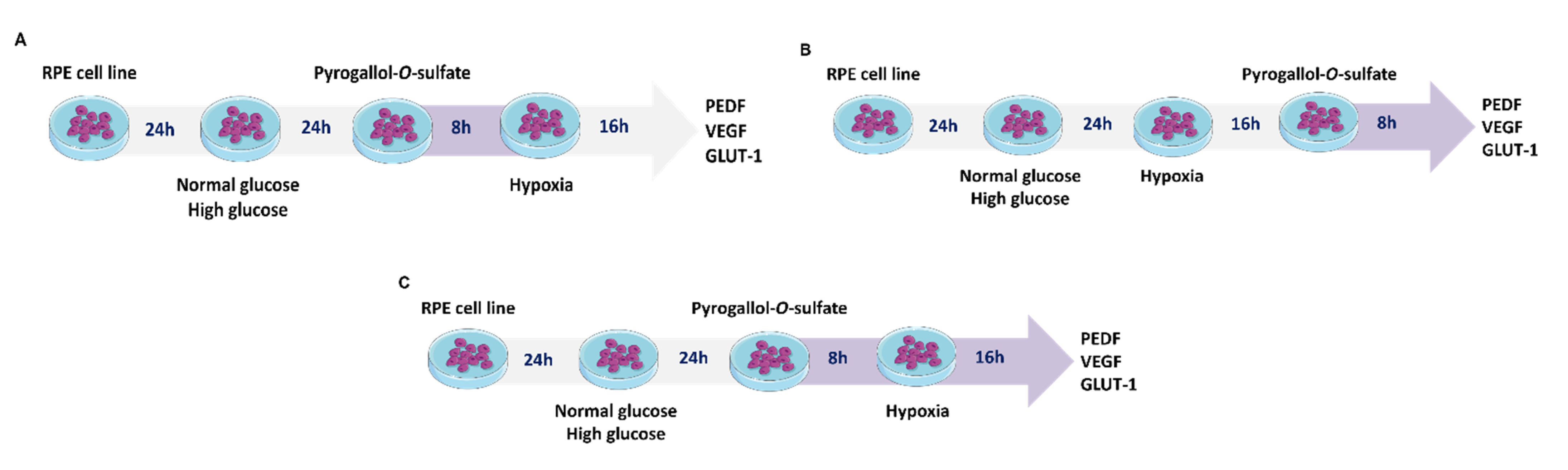 Ijms 22 11402 g011 Ijms 22 11402 g011
