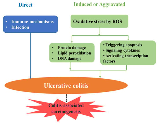 IJMS | Free Full-Text | Triggers for the Nrf2/ARE Signaling Pathway and ...