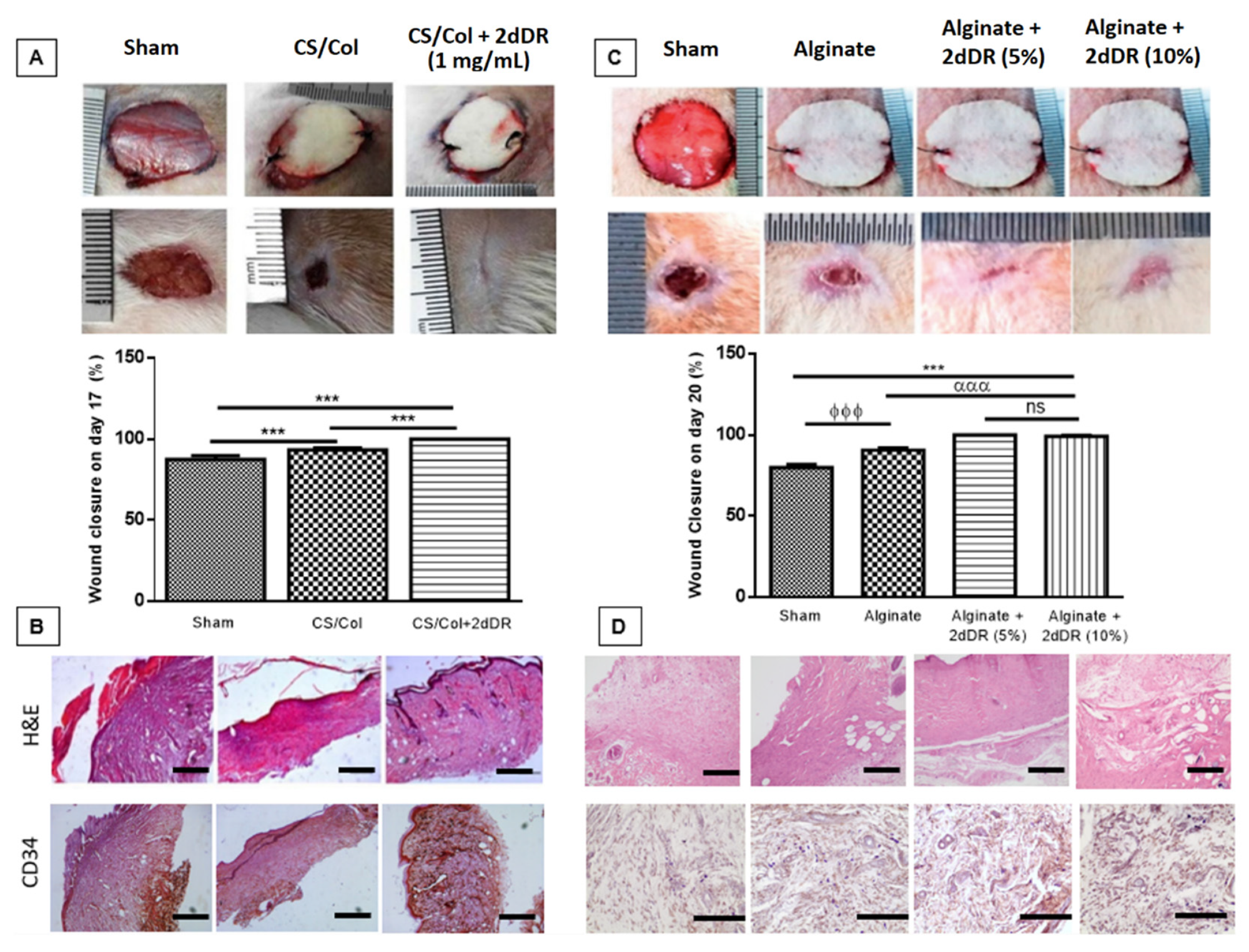 Ijms 22 11437 g004 Ijms 22 11437 g004