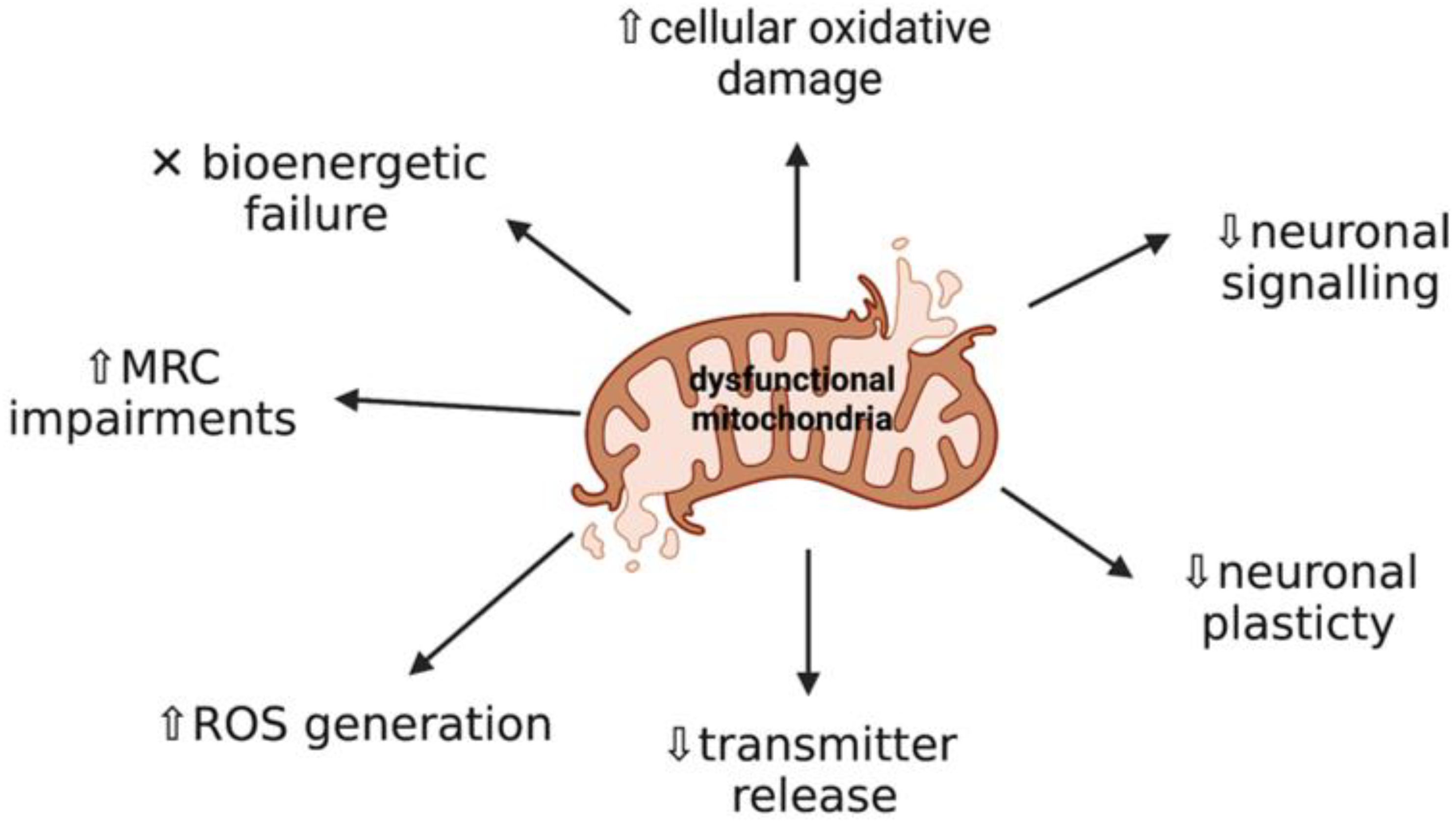 IJMS | Free Full-Text | Targetable Pathways for Alleviating Mitochondrial  Dysfunction in Neurodegeneration of Metabolic and Non-Metabolic Diseases