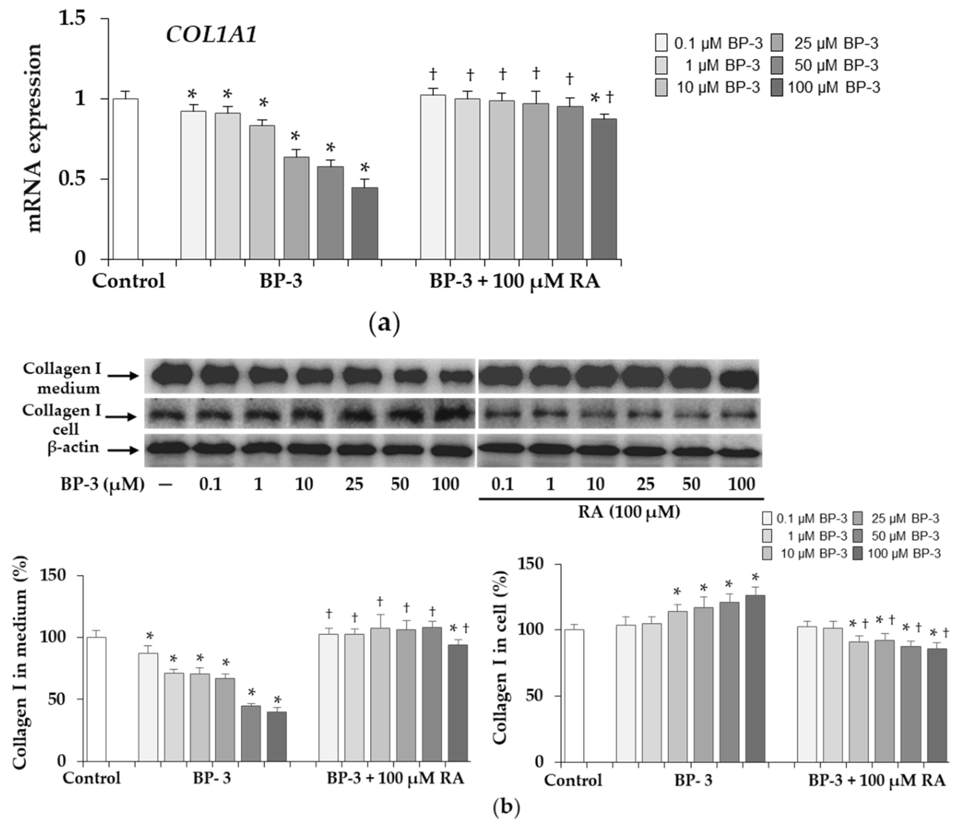 Full article: Impact of benzophenone-3 on the integument and gills