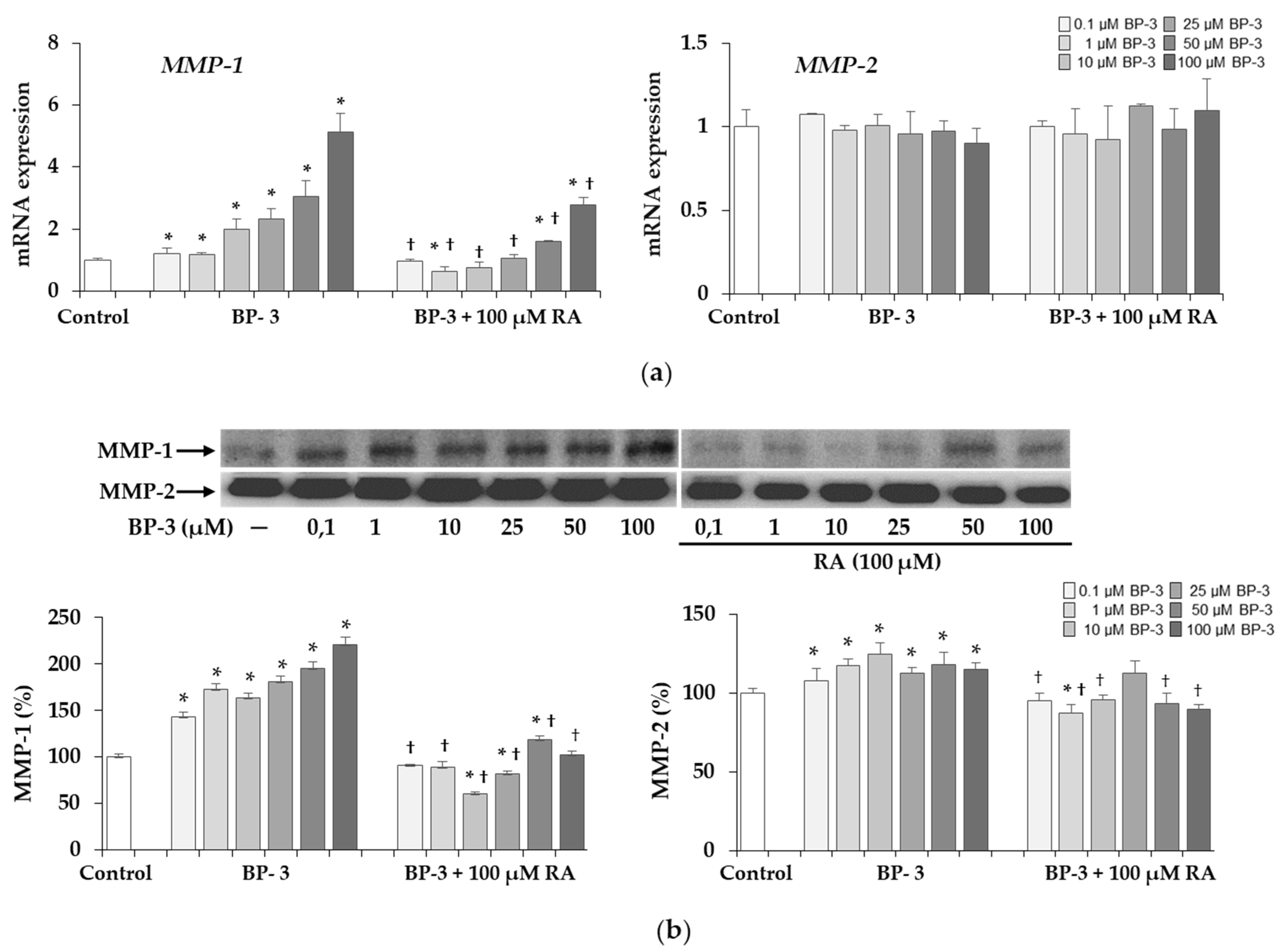 Full article: Impact of benzophenone-3 on the integument and gills