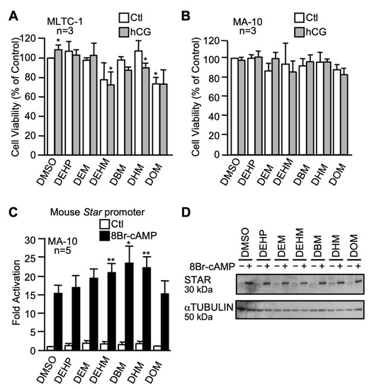 IJMS | Free Full-Text | Mechanisms of MEHP Inhibitory Action and