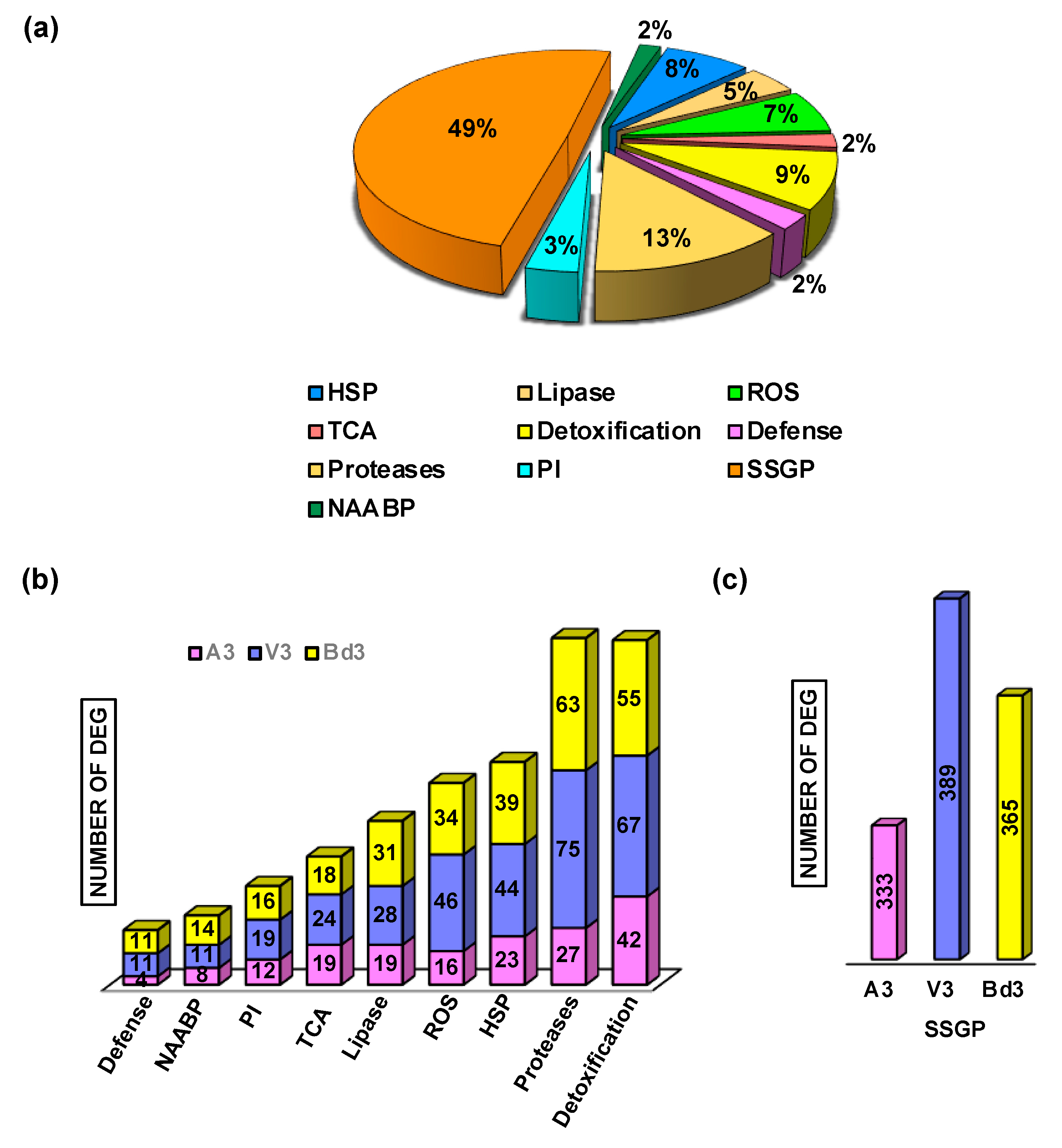 Ijms 22 11498 g005 Ijms 22 11498 g005