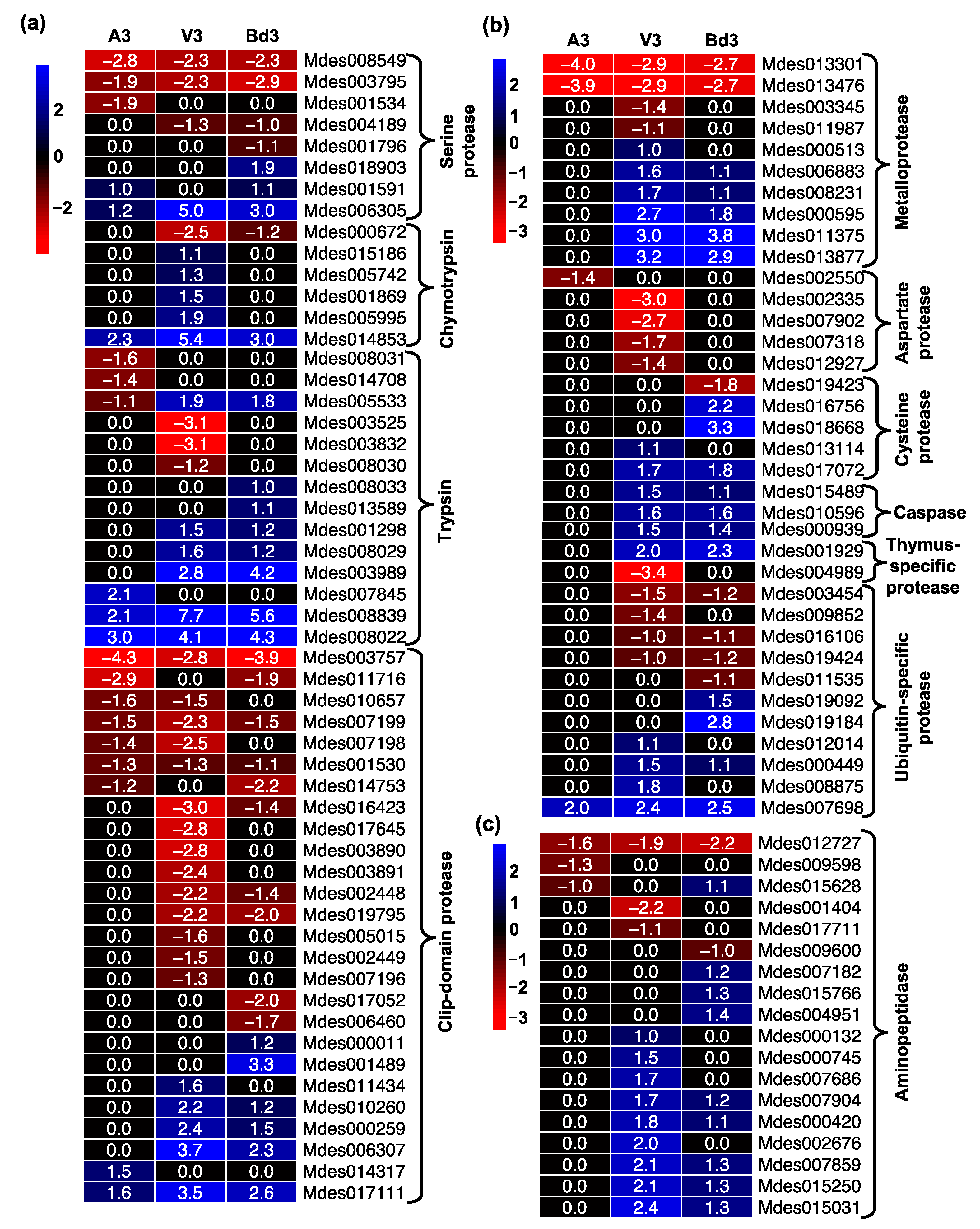 Ijms 22 11498 g007 Ijms 22 11498 g007