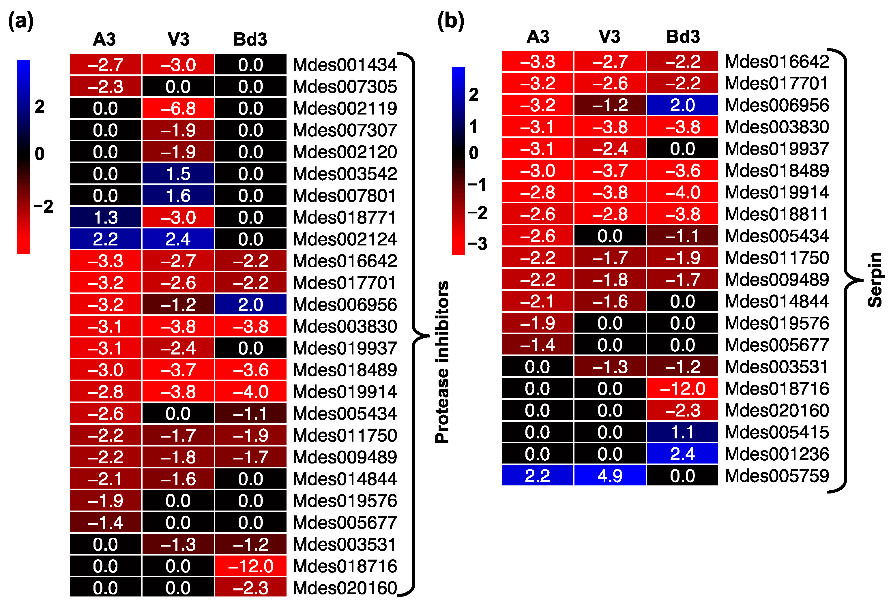 Ijms 22 11498 g008 Ijms 22 11498 g008