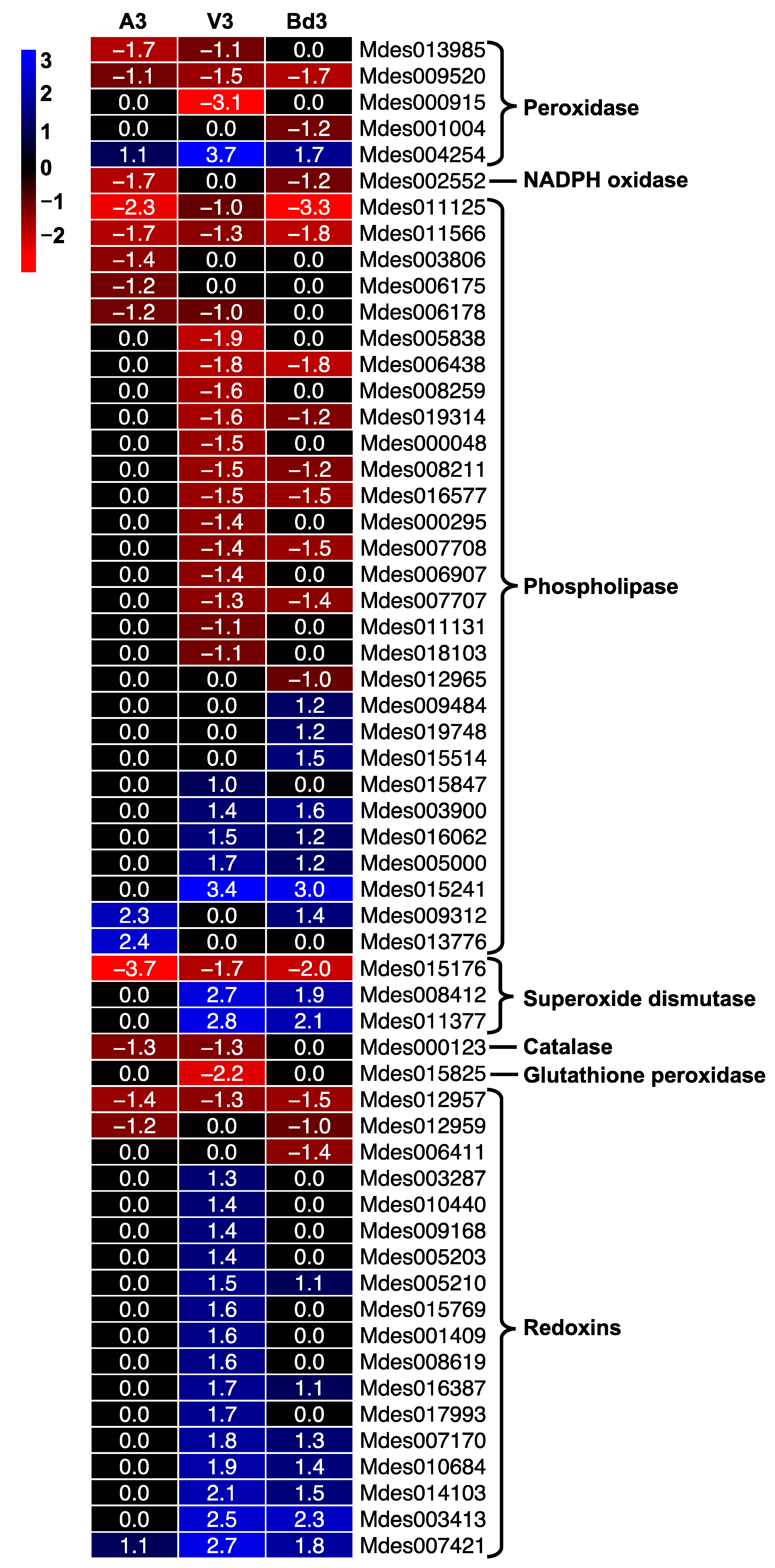 Ijms 22 11498 g012 Ijms 22 11498 g012