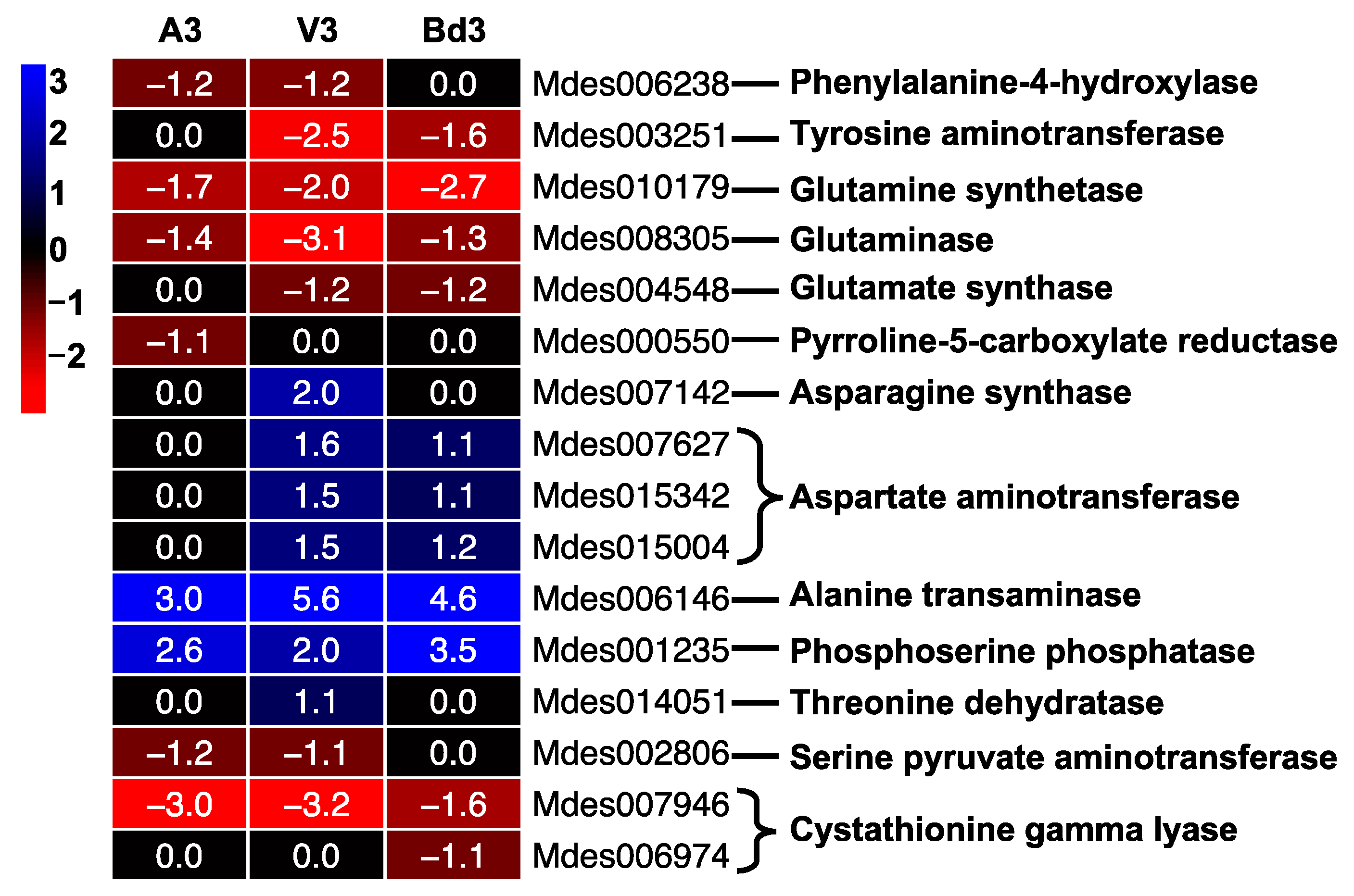 Ijms 22 11498 g013 Ijms 22 11498 g013