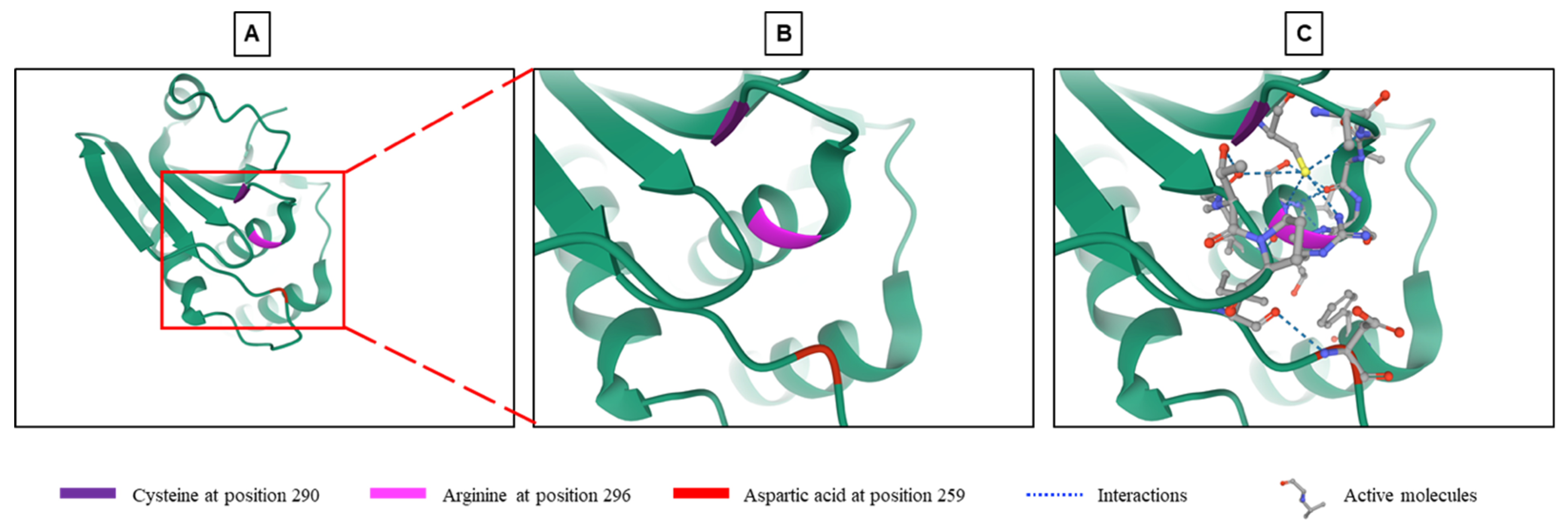 Ijms Free Full Text Dusp9 A Dual Specificity Phosphatase With A Key Role In Cell Biology And Human Diseases Html