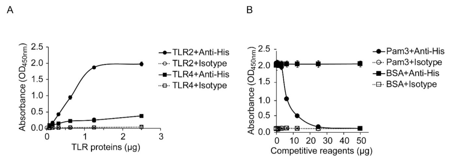 Ijms 22 11560 g008 Ijms 22 11560 g008