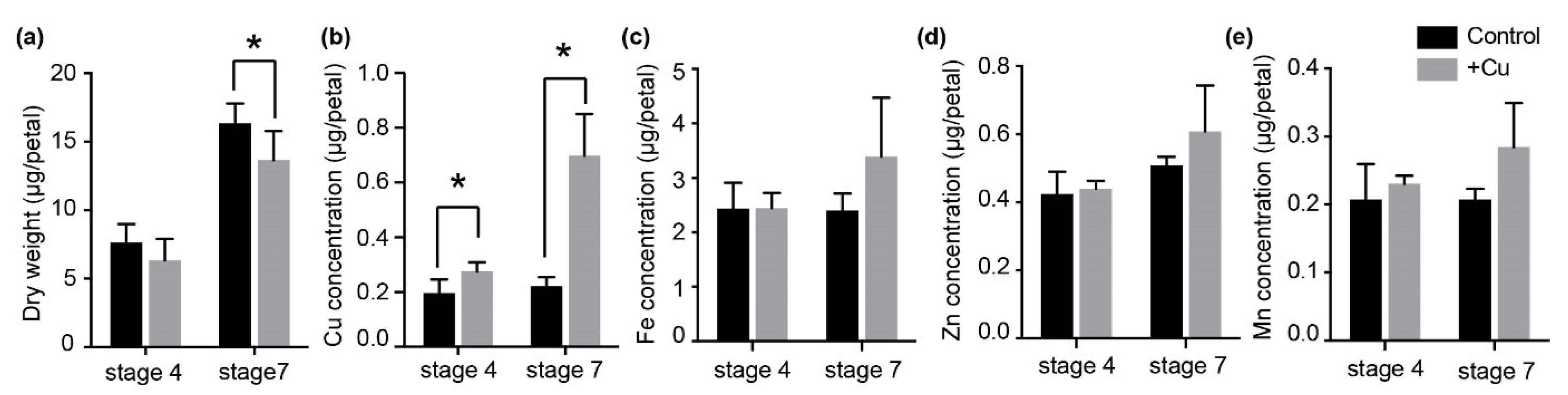 Ijms 22 11604 g001 Ijms 22 11604 g001