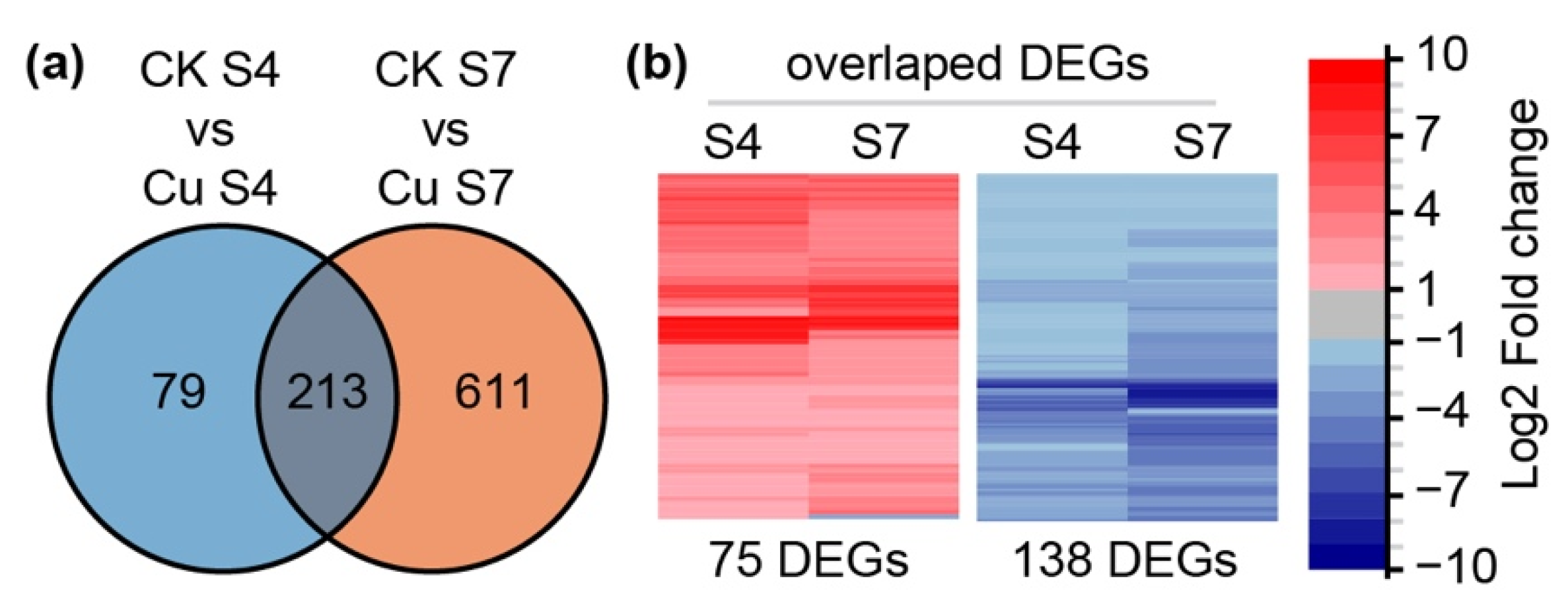 Ijms 22 11604 g002 Ijms 22 11604 g002