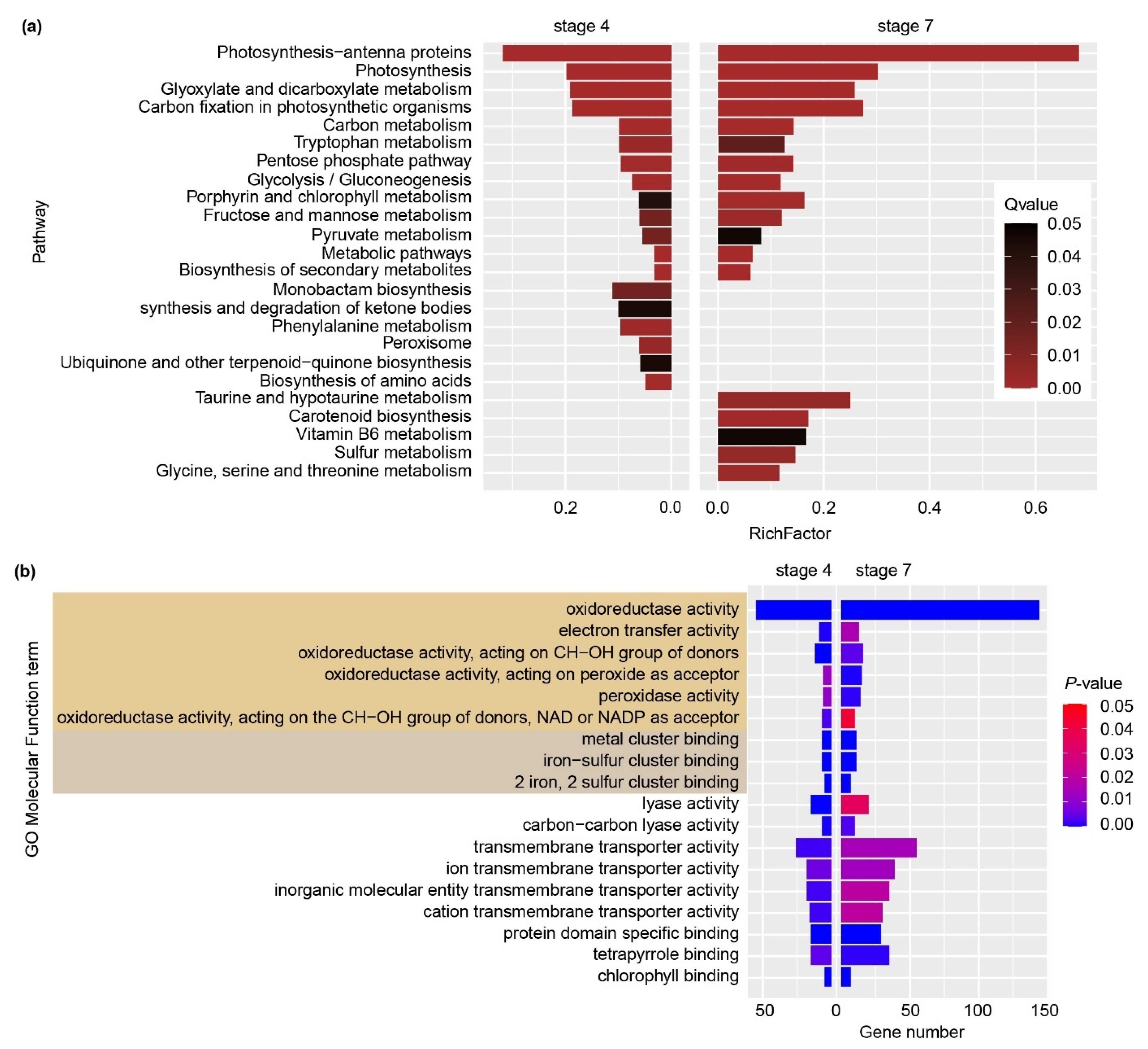 Ijms 22 11604 g003 Ijms 22 11604 g003